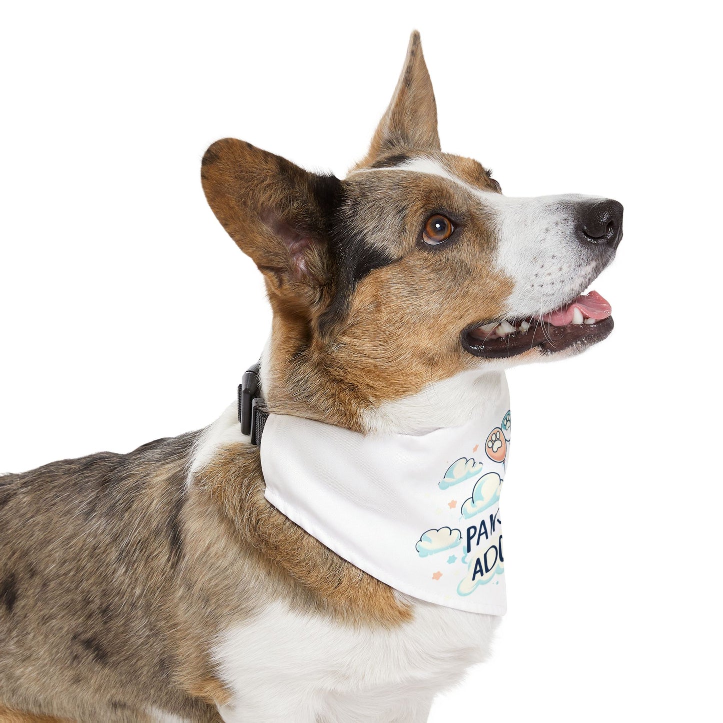 Pawsitively Adorable - Pet Bandana Collar