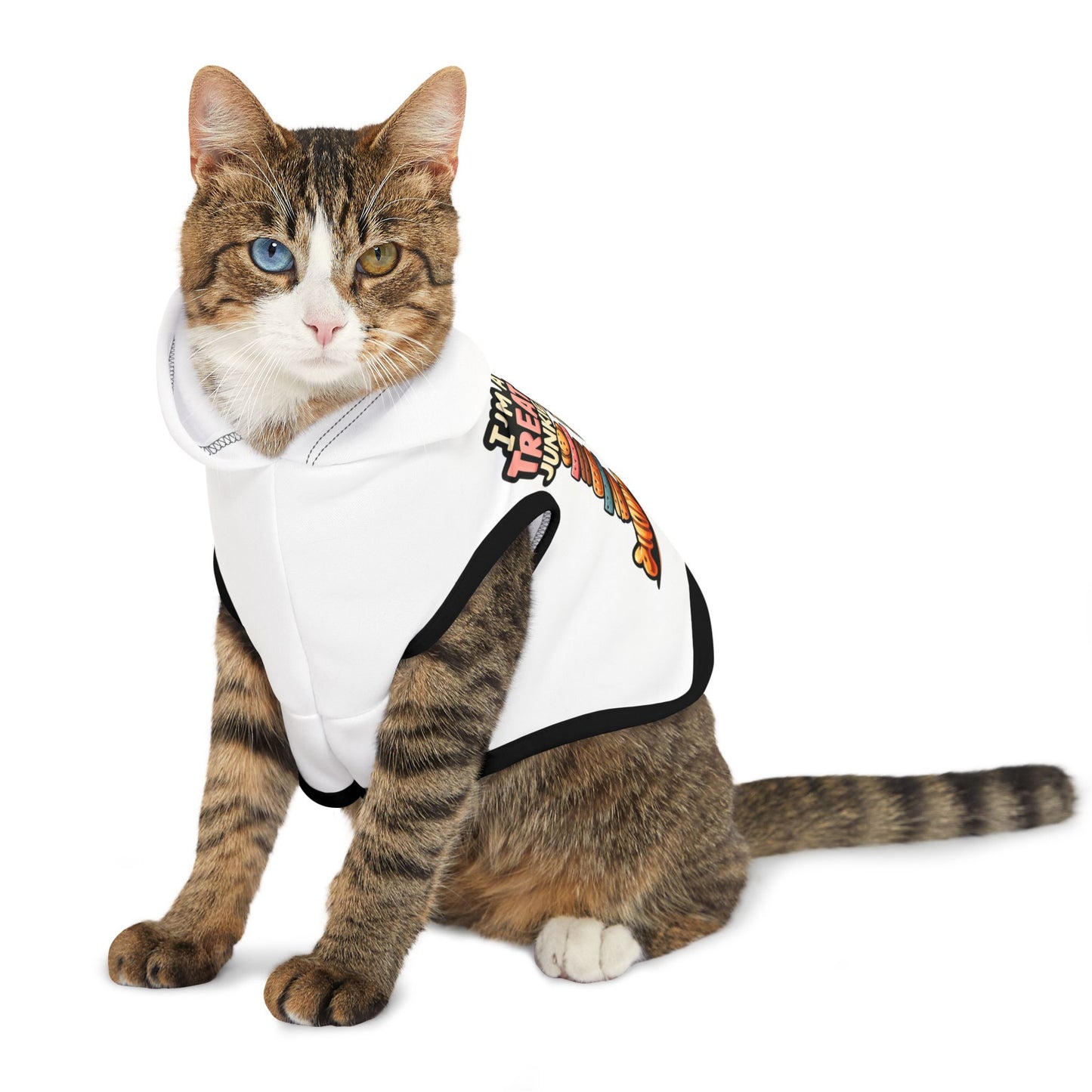 I'm A Treat Junkie - Pet Hoodie - Creatively Designed Shop
