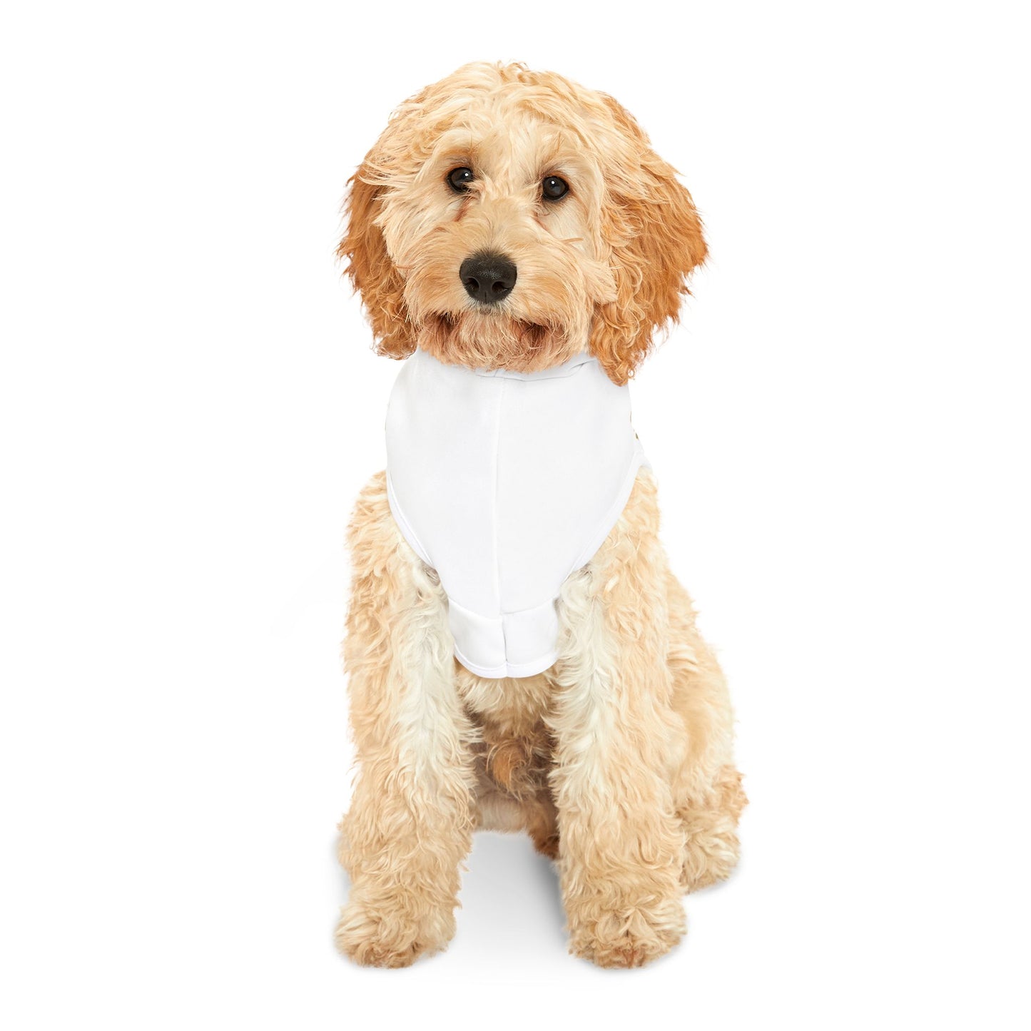 King of the House - Pet Hoodie - Creatively Designed Shop