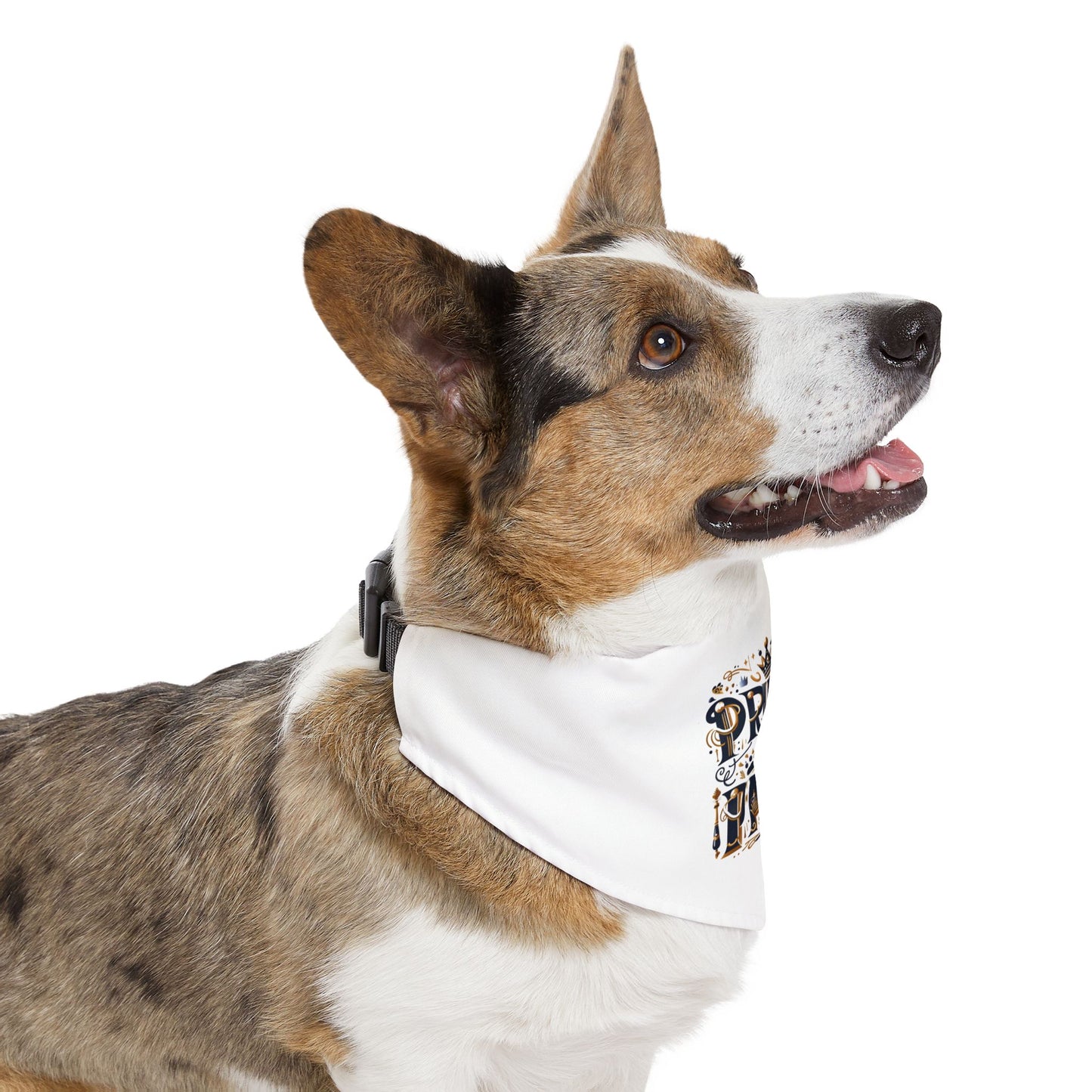 Prince of Paws - Pet Bandana Collar - Creatively Designed Shop