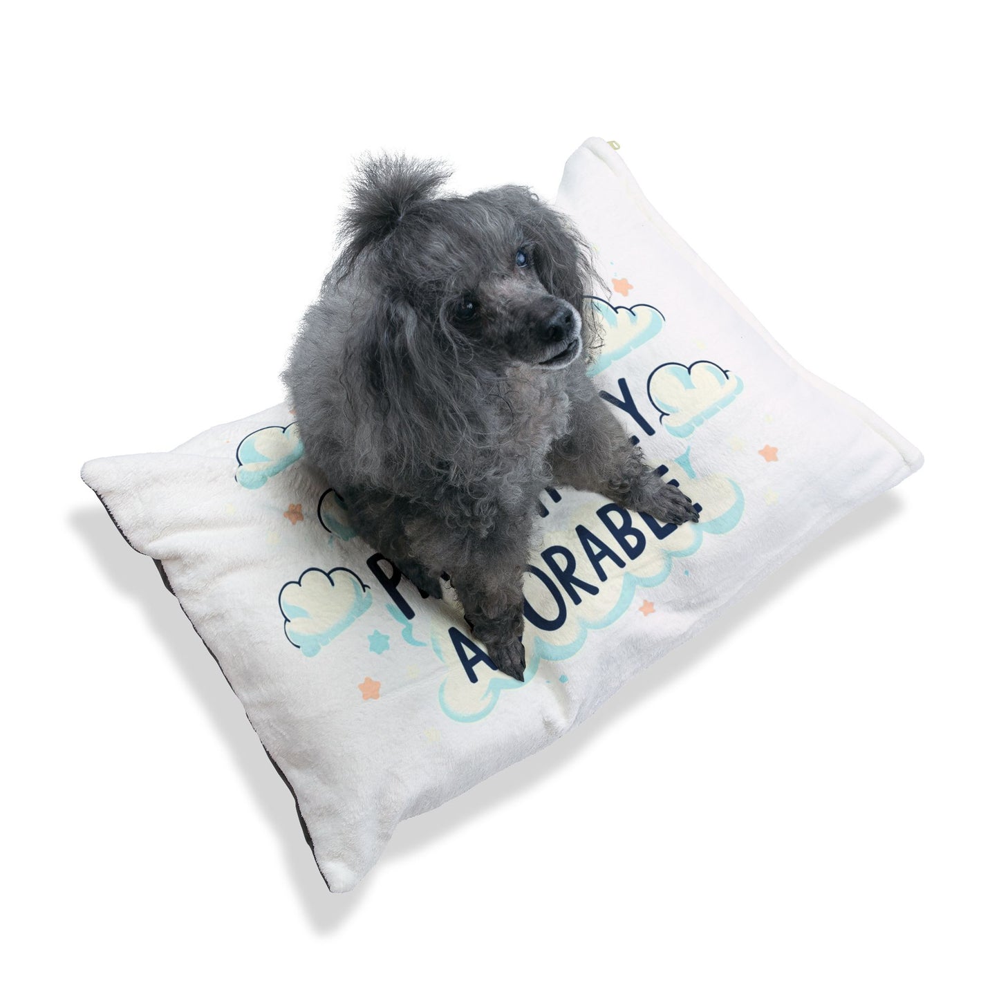 Pawsitively Adorable - Pet Bed - Creatively Designed Shop