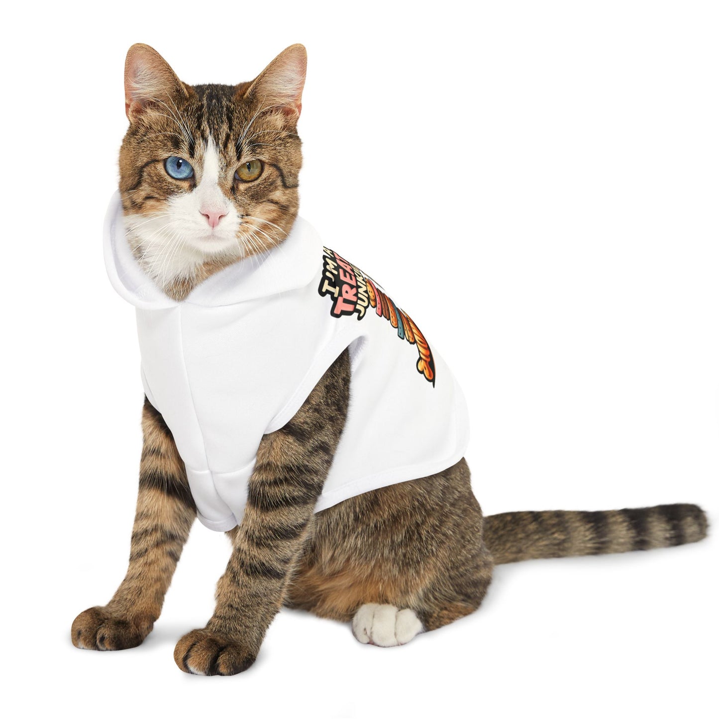 I'm A Treat Junkie - Pet Hoodie - Creatively Designed Shop