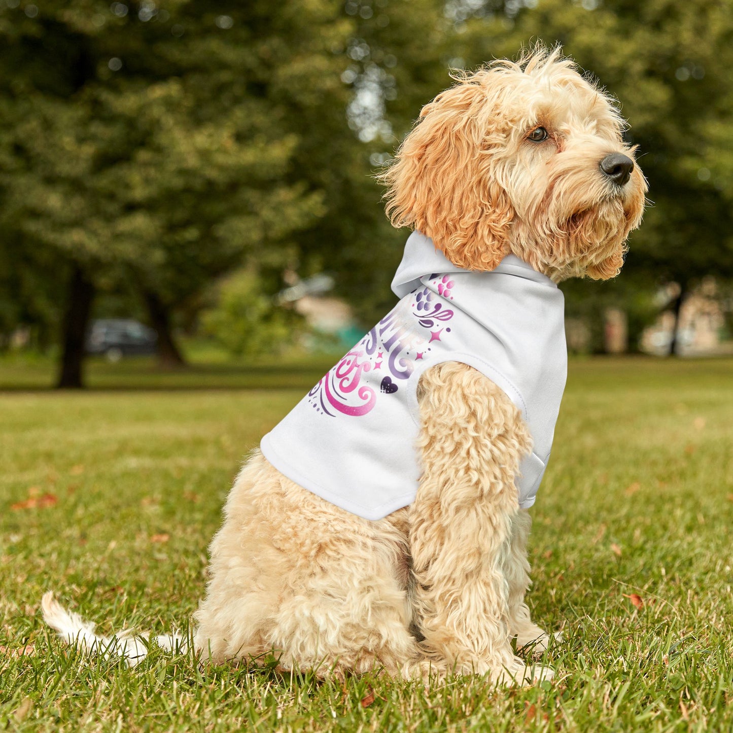 Pawsome Princess - Pet Hoodie - Creatively Designed Shop