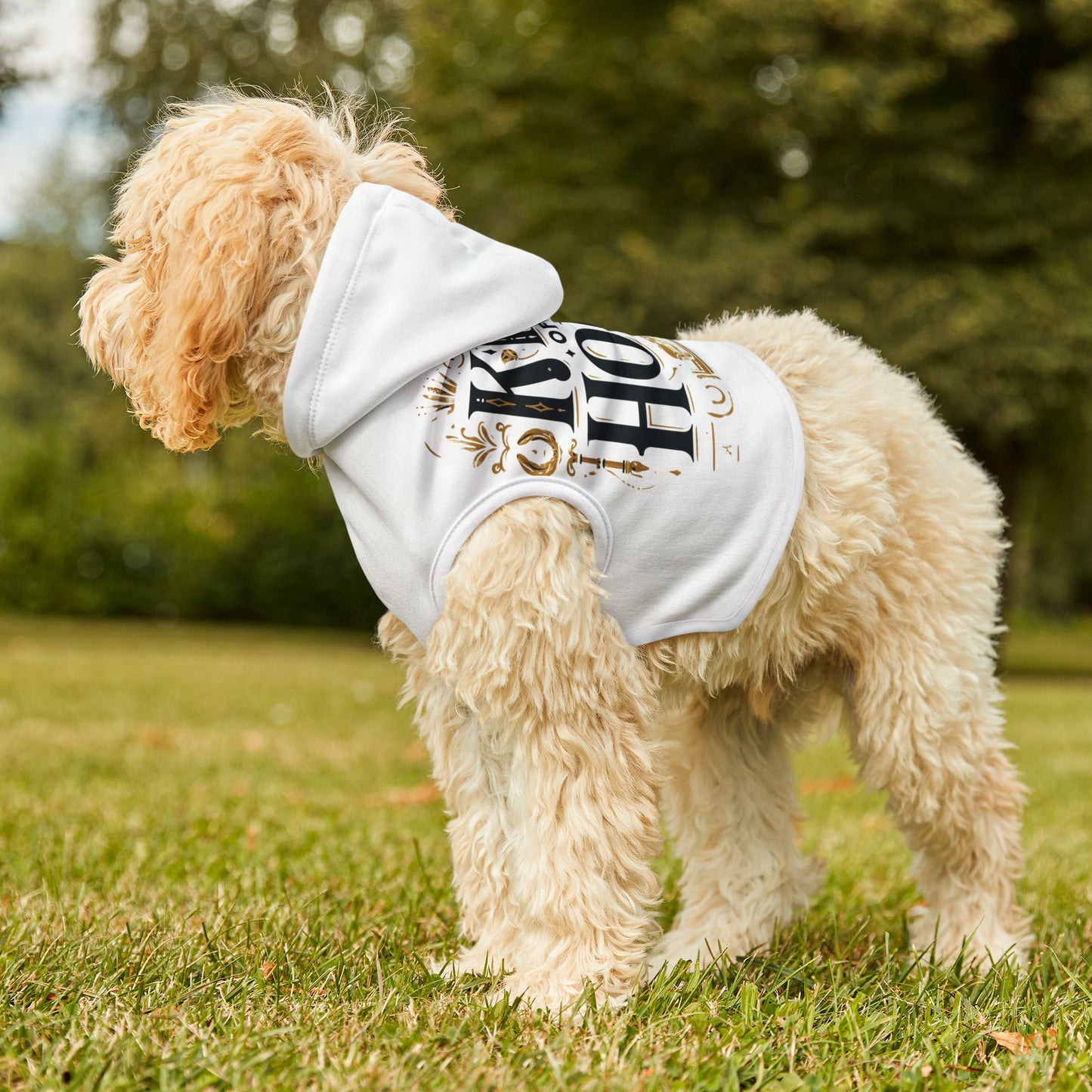King of the House - Pet Hoodie - Creatively Designed Shop