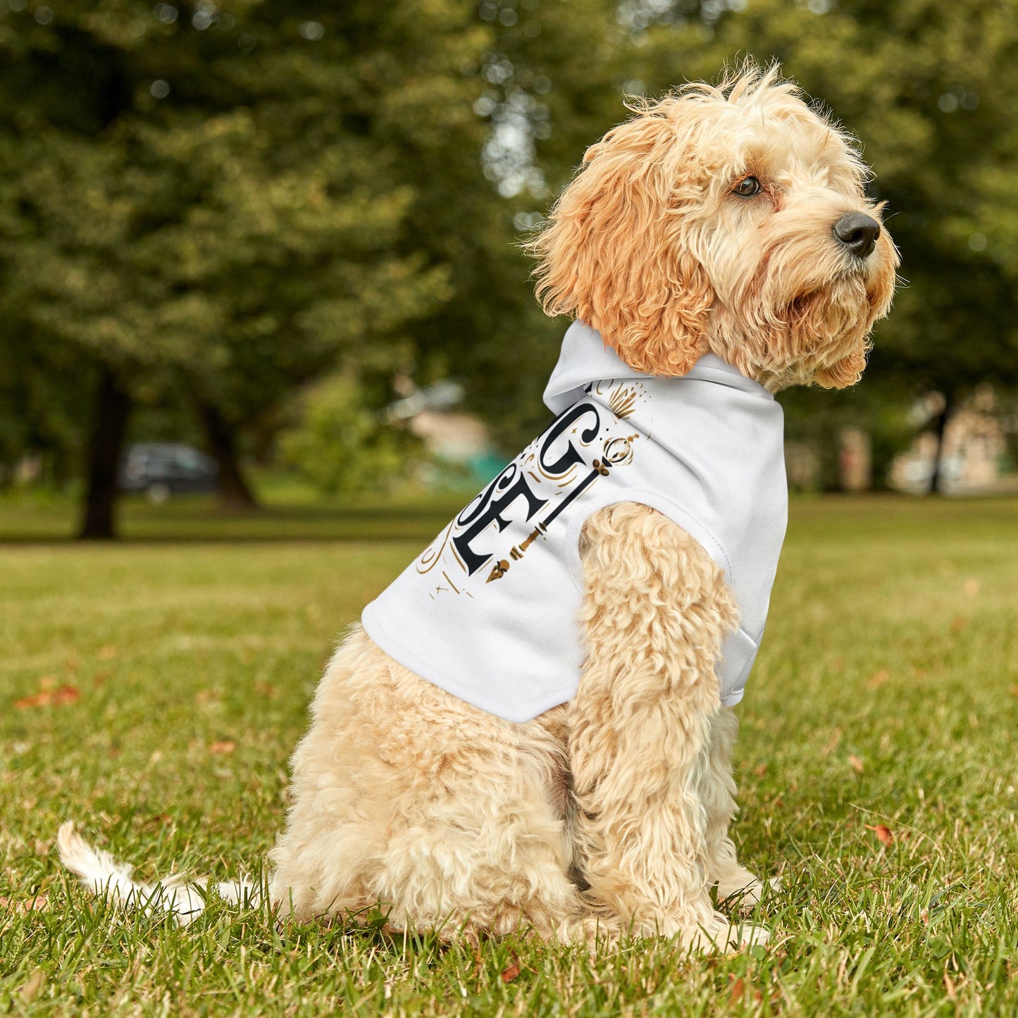 King of the House - Pet Hoodie - Creatively Designed Shop