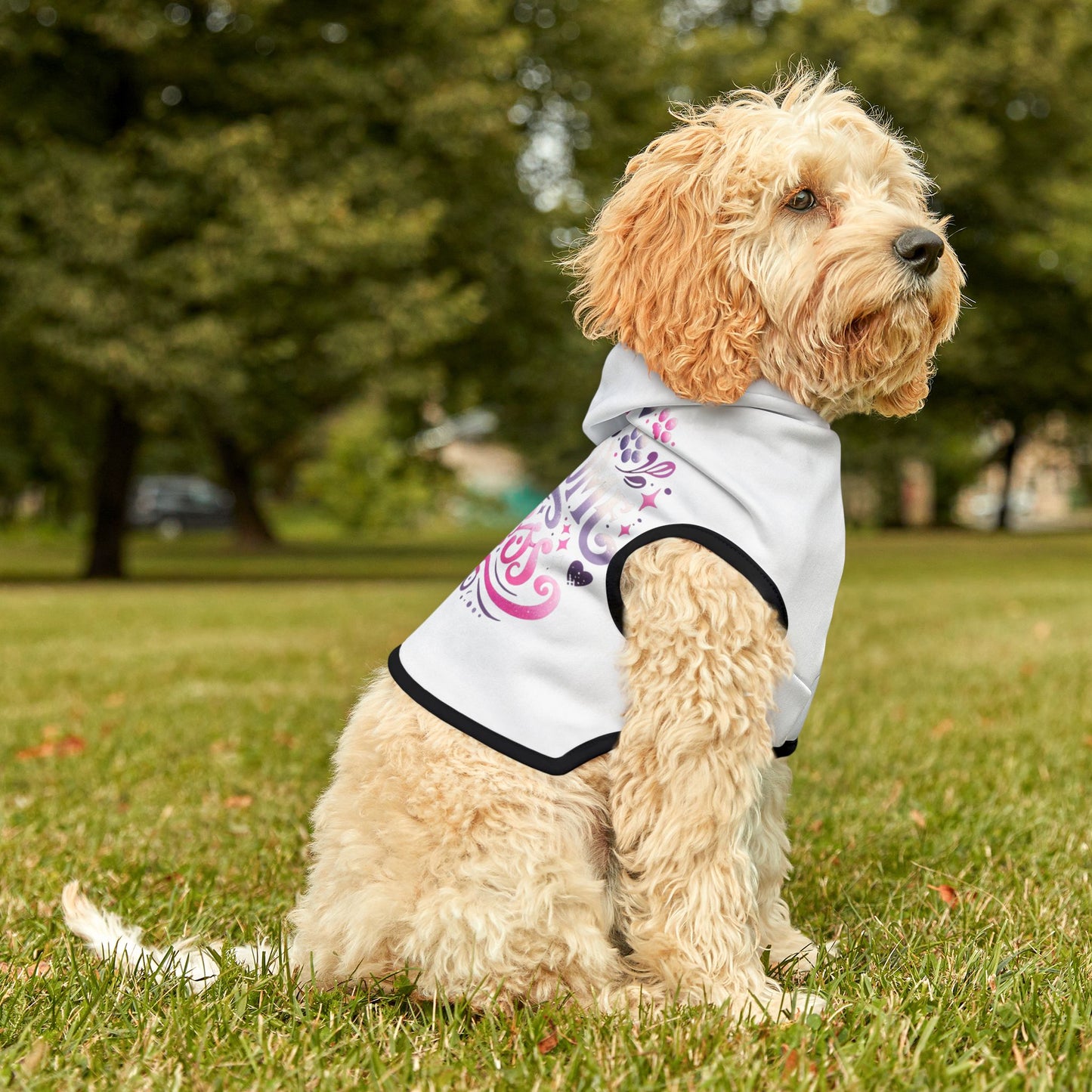 Pawsome Princess - Pet Hoodie - Creatively Designed Shop