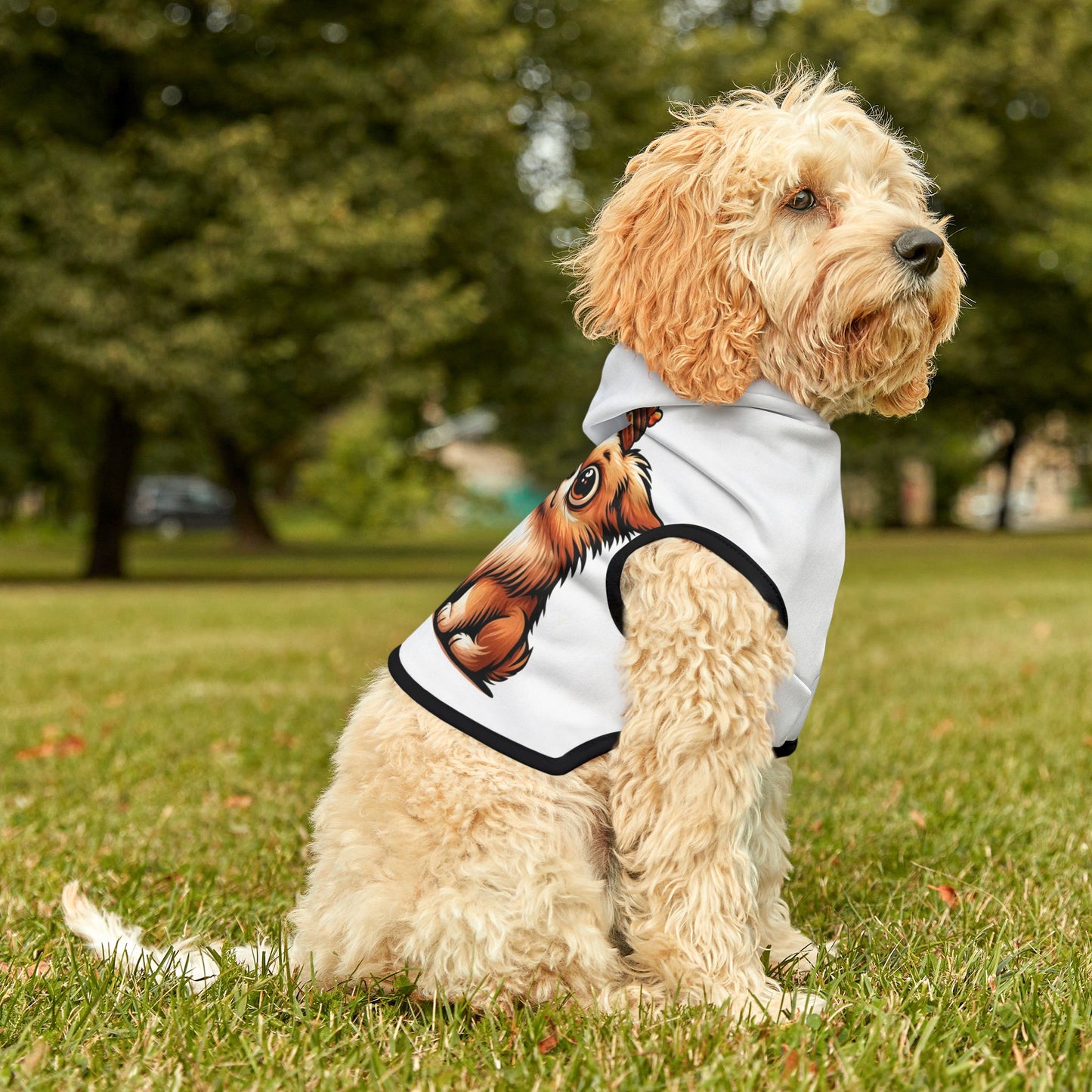 I'm A Treat Junkie - Pet Hoodie - Creatively Designed Shop