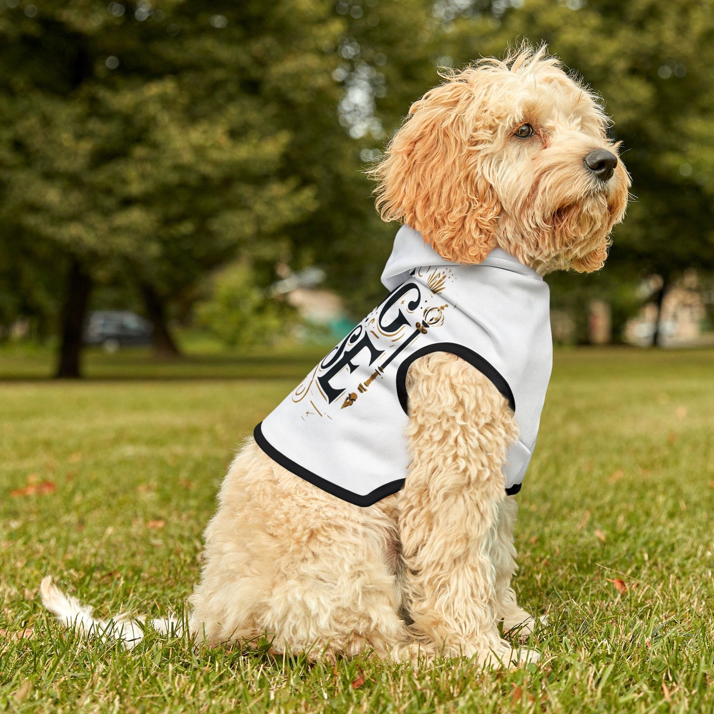 King of the House - Pet Hoodie - Creatively Designed Shop