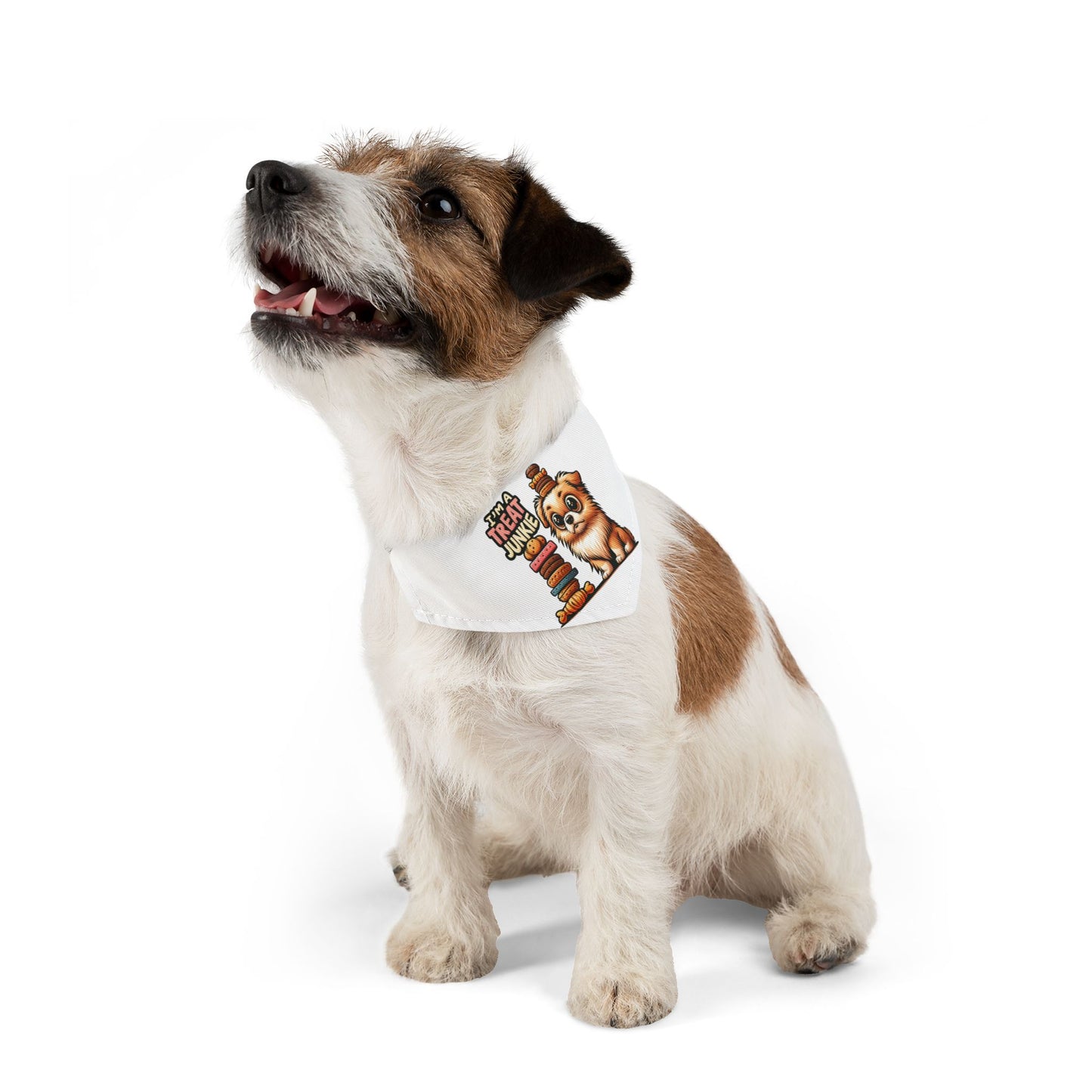 I'm A Treat Junkie - Pet Bandana Collar - Creatively Designed Shop