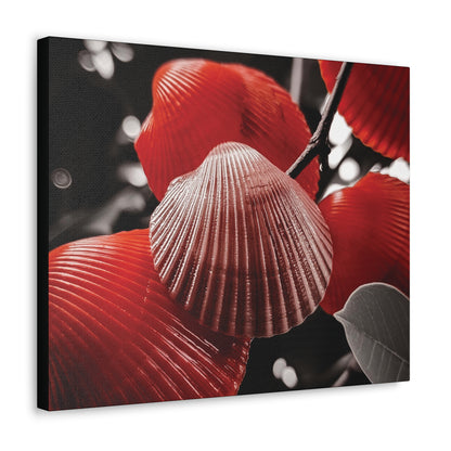 Red Shells - Canvas Gallery Wraps