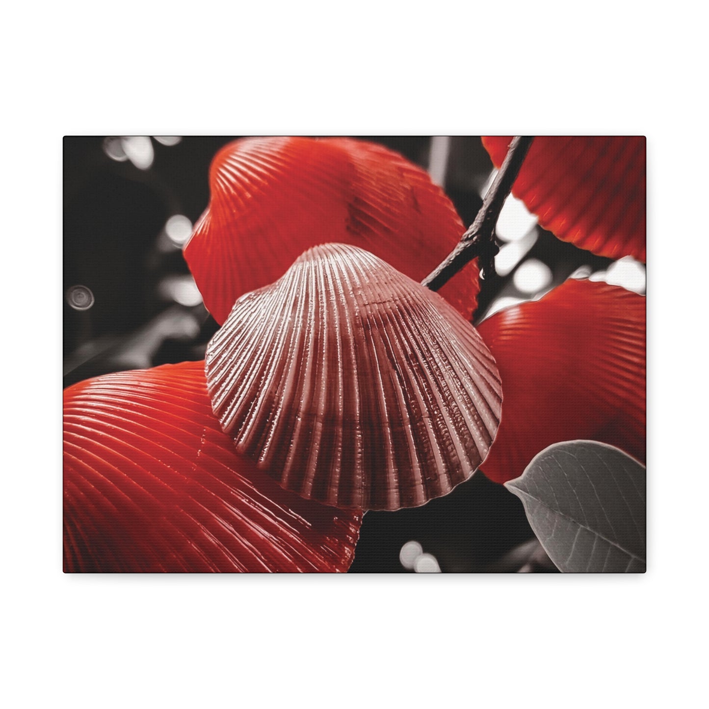 Red Shells - Canvas Gallery Wraps