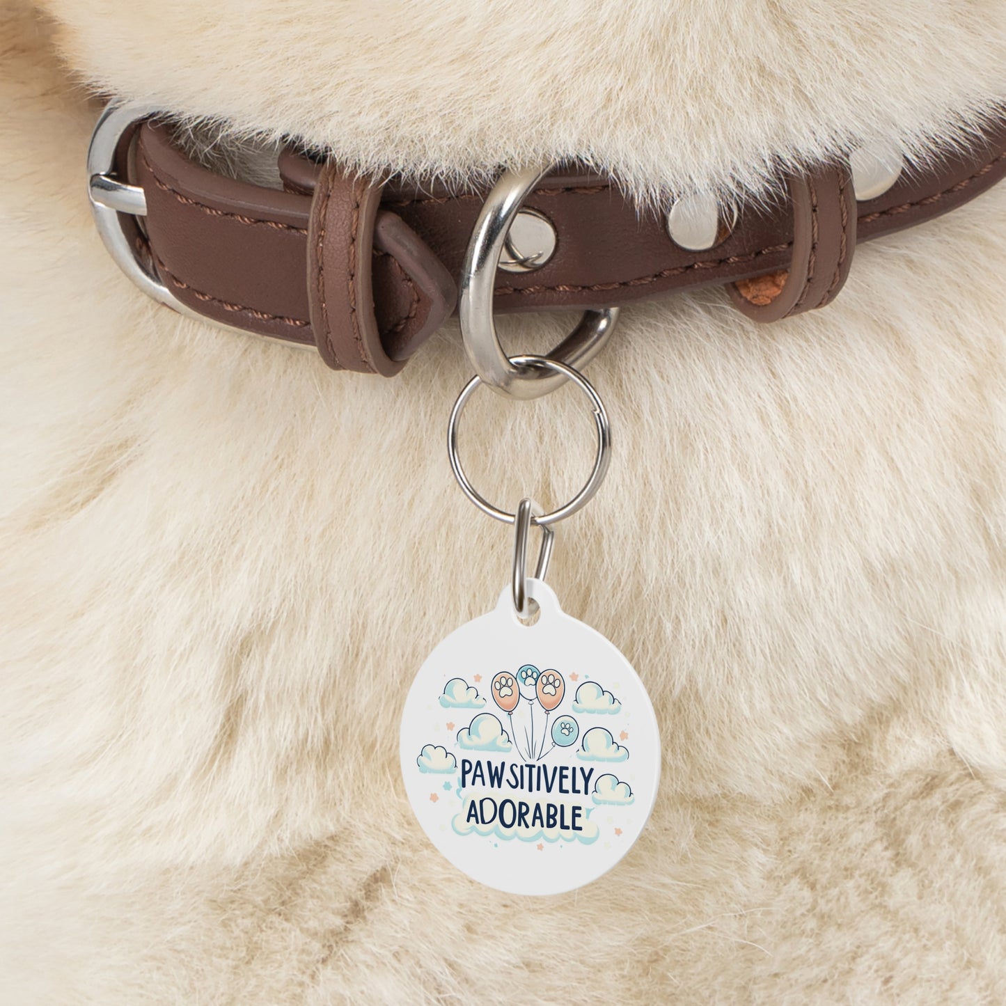 Pawsitively Adorable - Pet Tag - Creatively Designed Shop