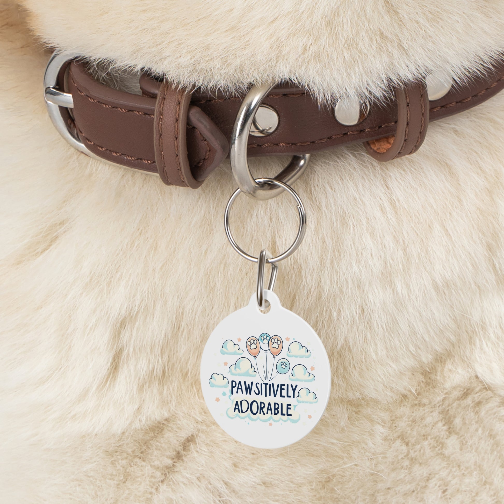 Pawsitively Adorable - Pet Tag - Creatively Designed Shop
