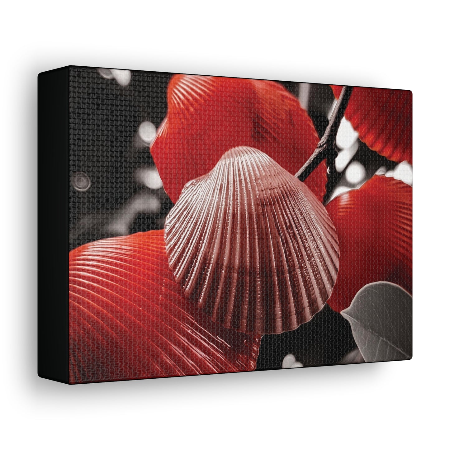 Red Shells - Canvas Gallery Wraps