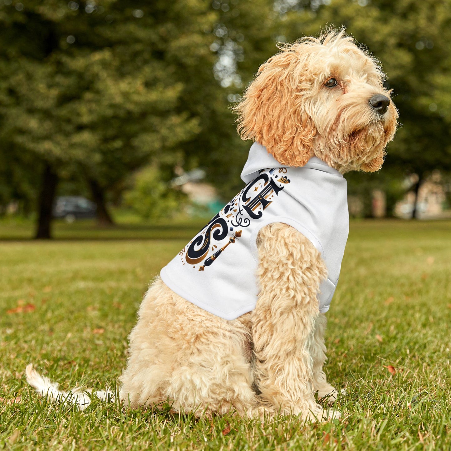 Prince of Paws - Pet Hoodie - Creatively Designed Shop