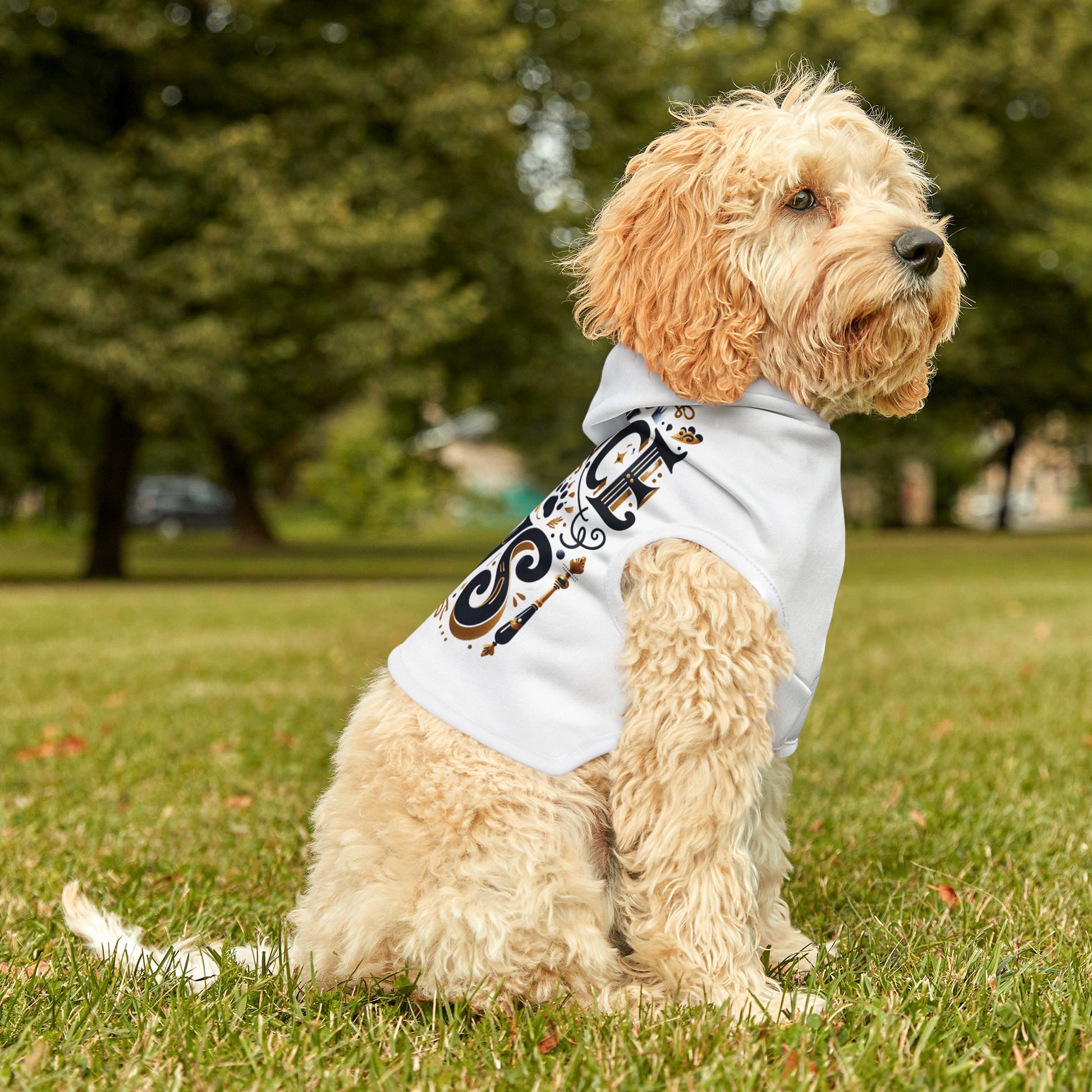 Prince of Paws - Pet Hoodie - Creatively Designed Shop