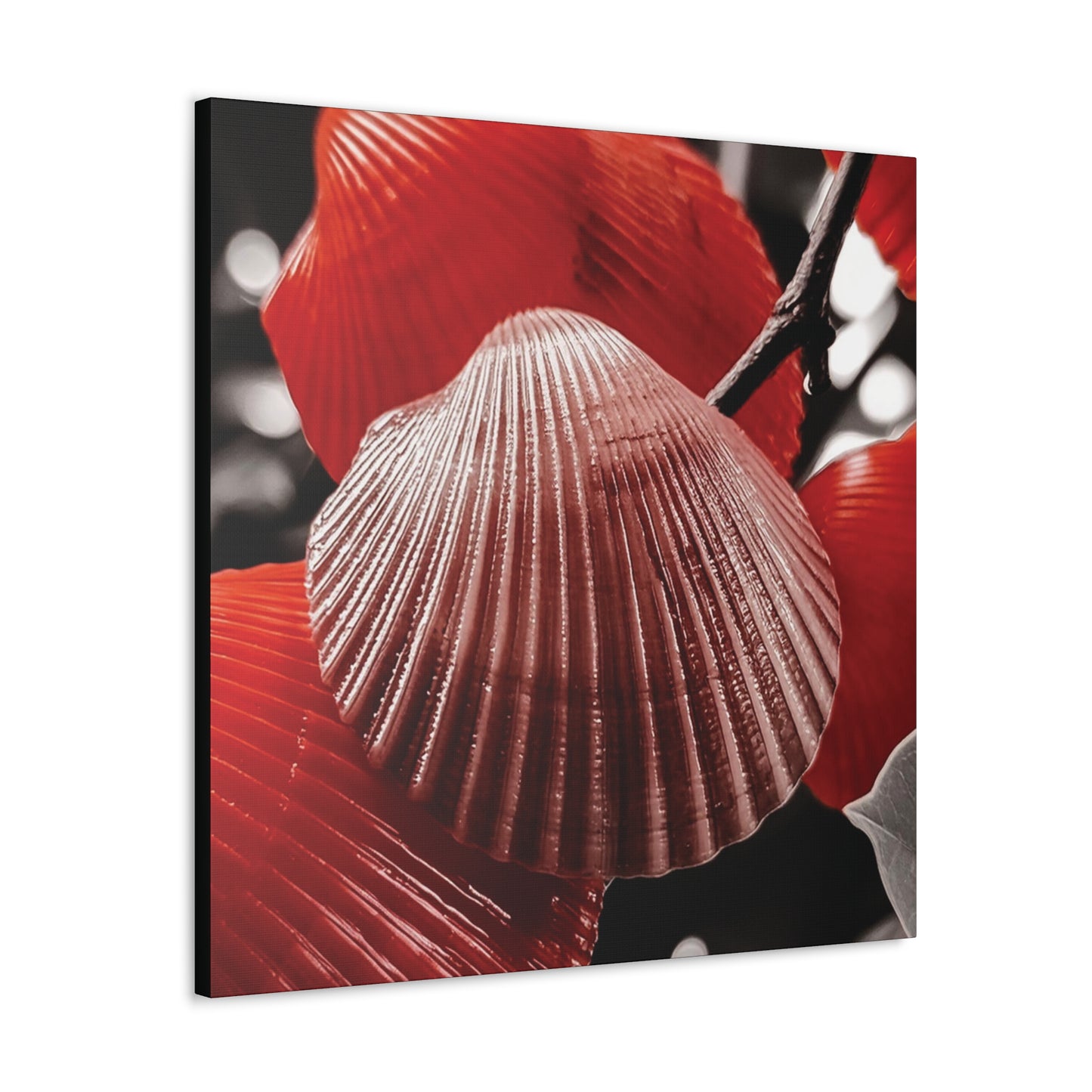 Red Shells - Canvas Gallery Wraps