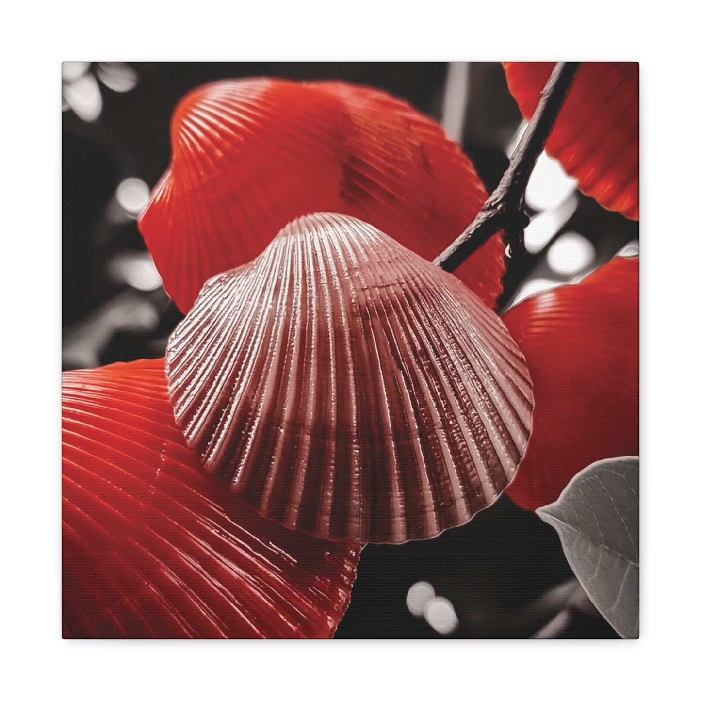 Red Shells - Canvas Gallery Wraps