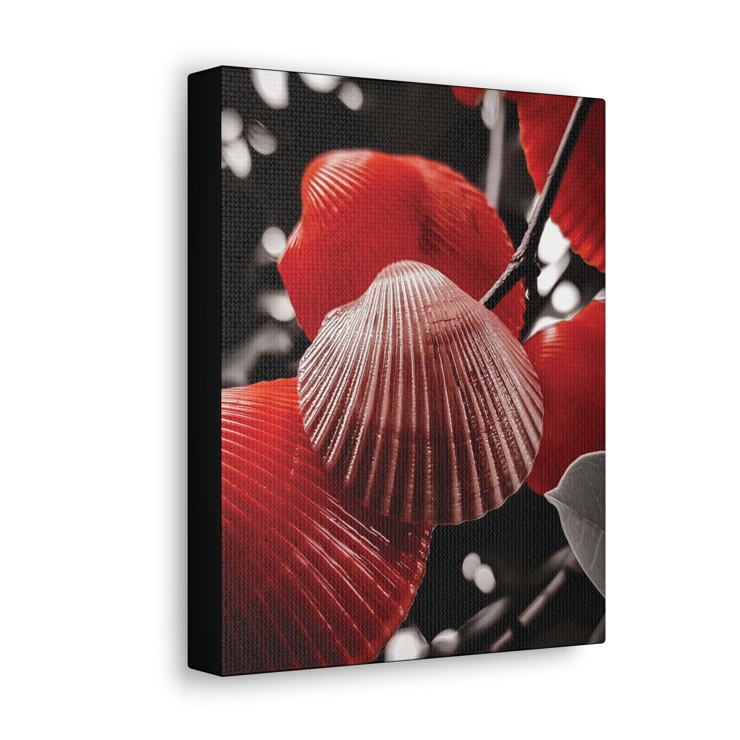 Red Shells - Canvas Gallery Wraps