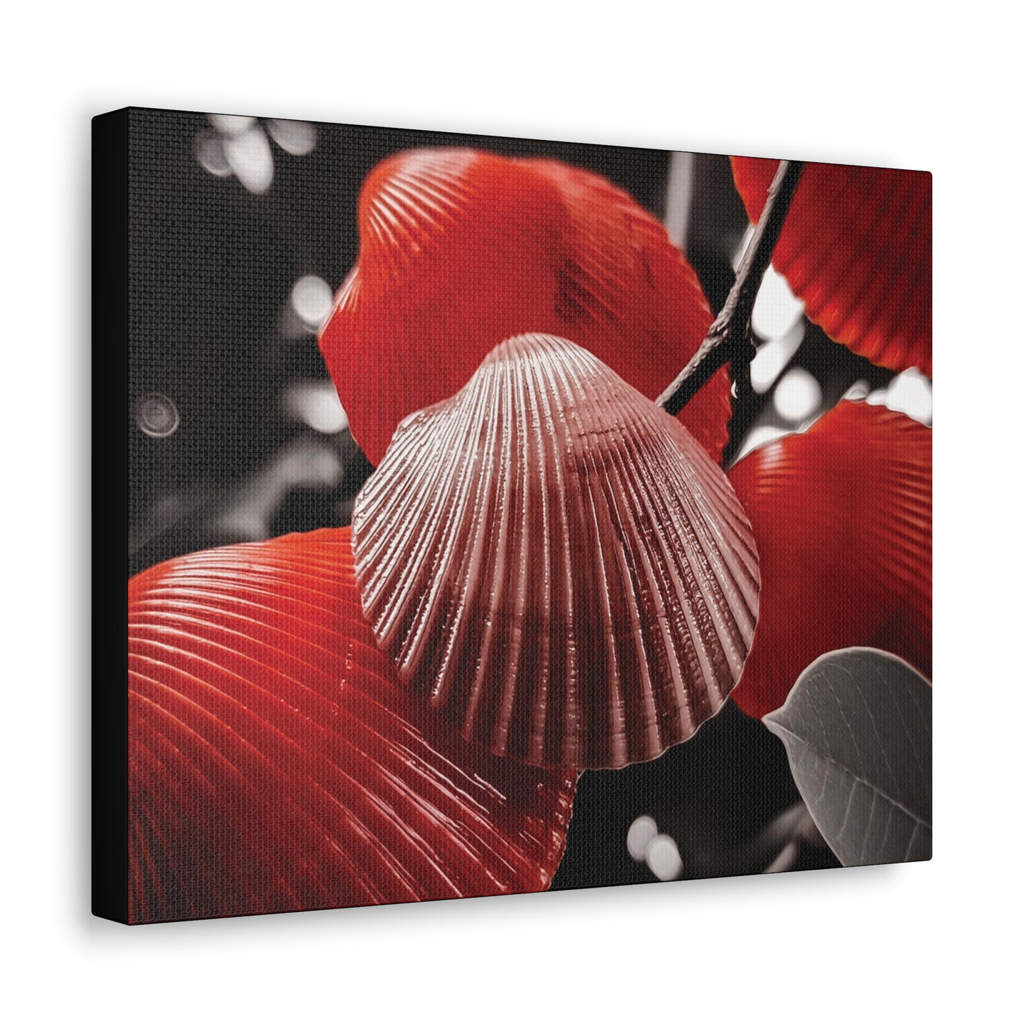 Red Shells - Canvas Gallery Wraps