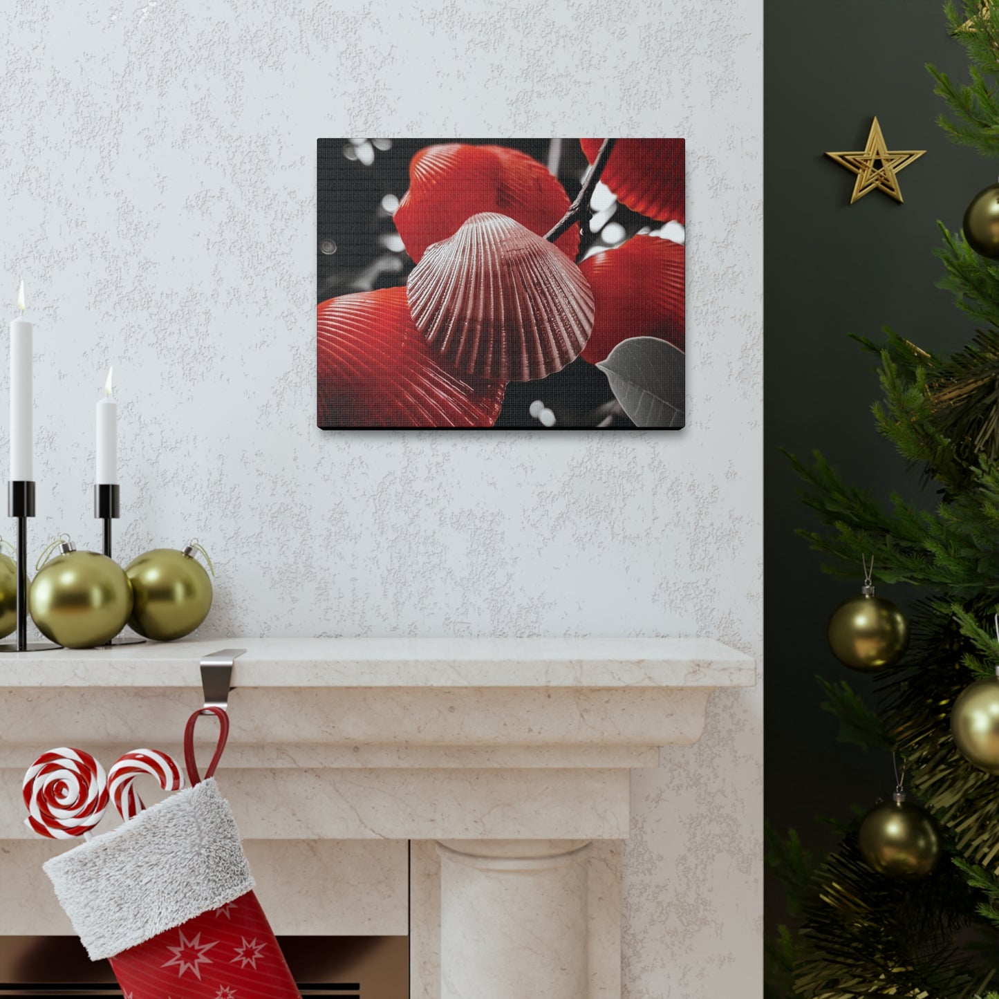 Red Shells - Canvas Gallery Wraps