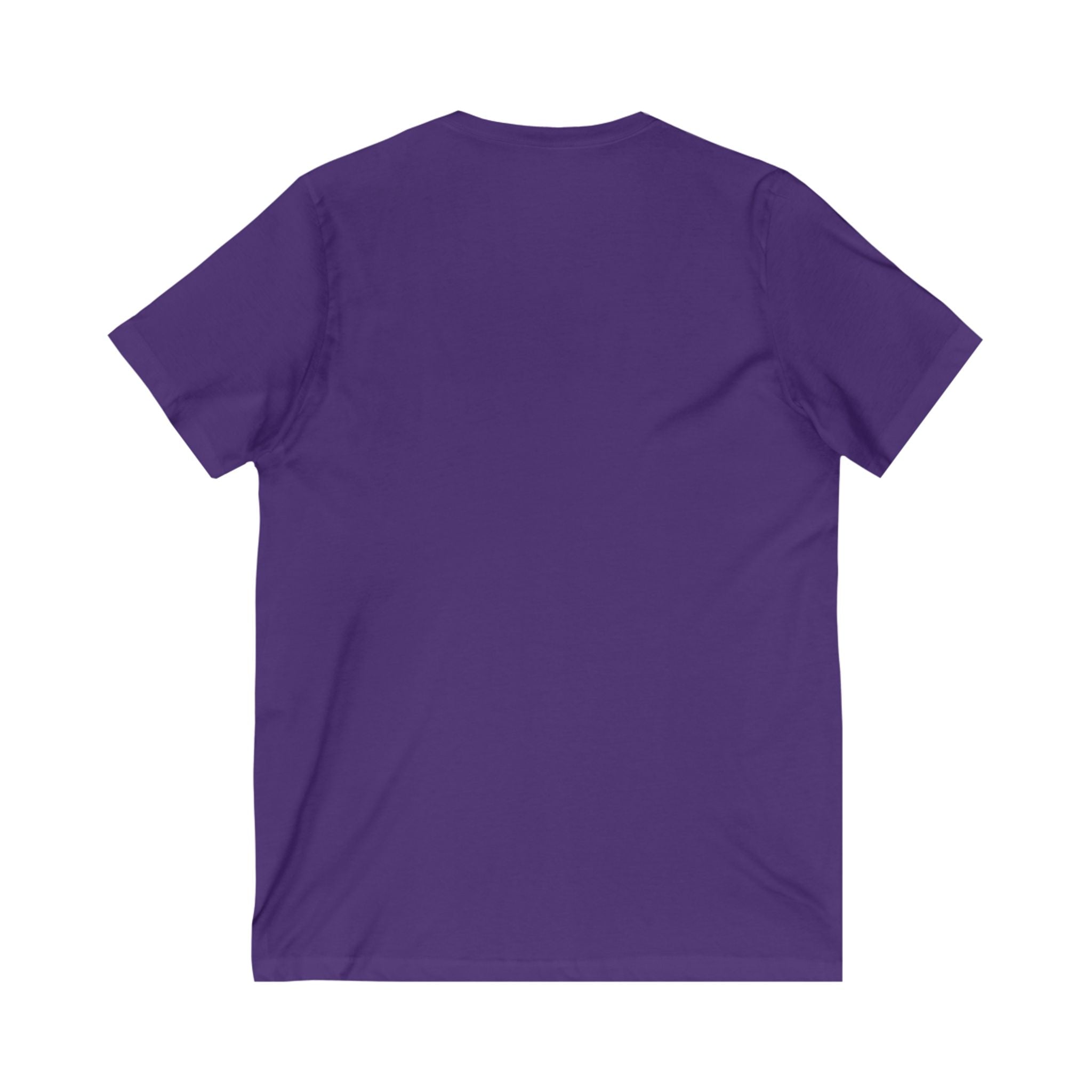 Vibe Checked Passed - Unisex Jersey Short Sleeve V-Neck Tee