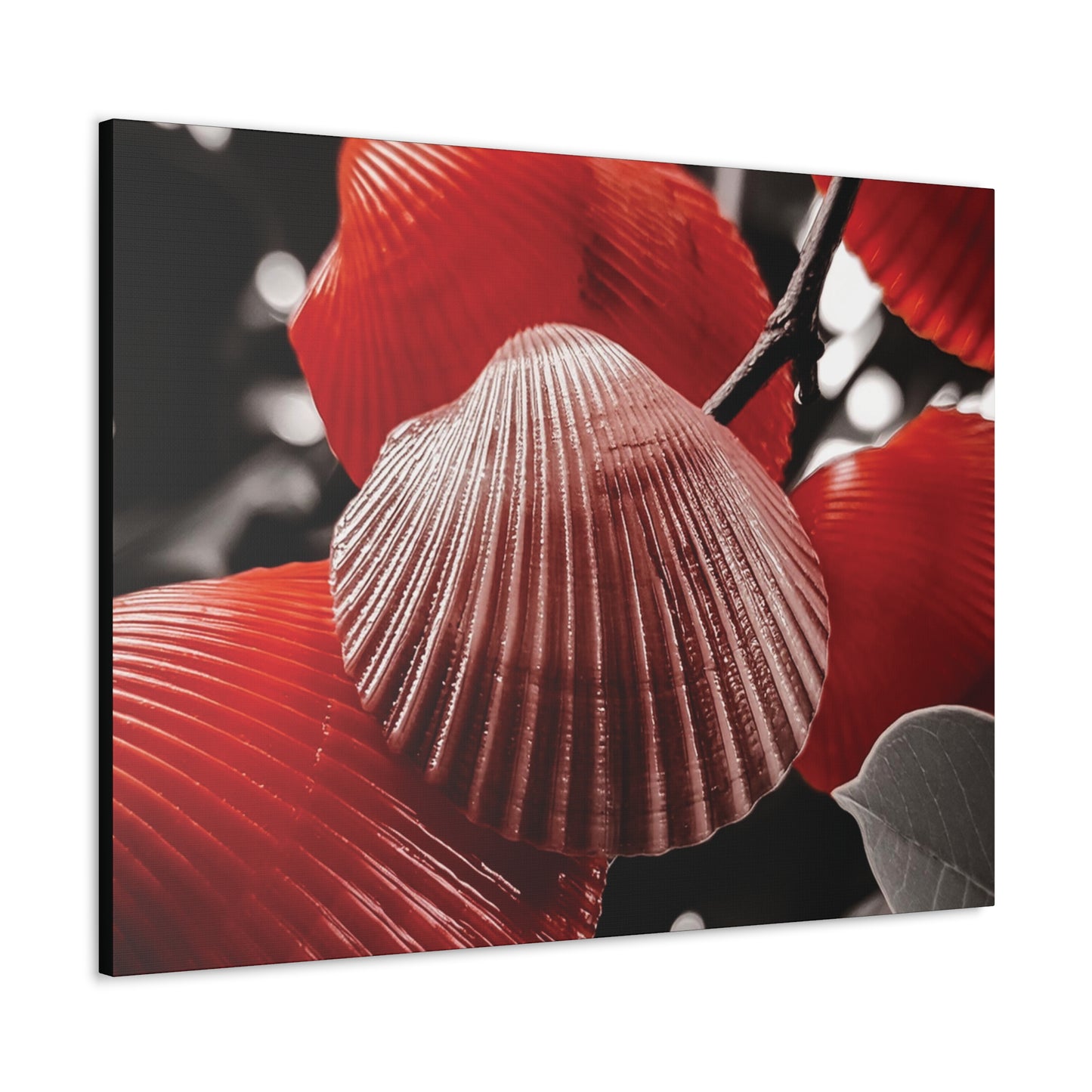 Red Shells - Canvas Gallery Wraps