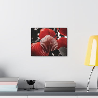 Red Shells - Canvas Gallery Wraps