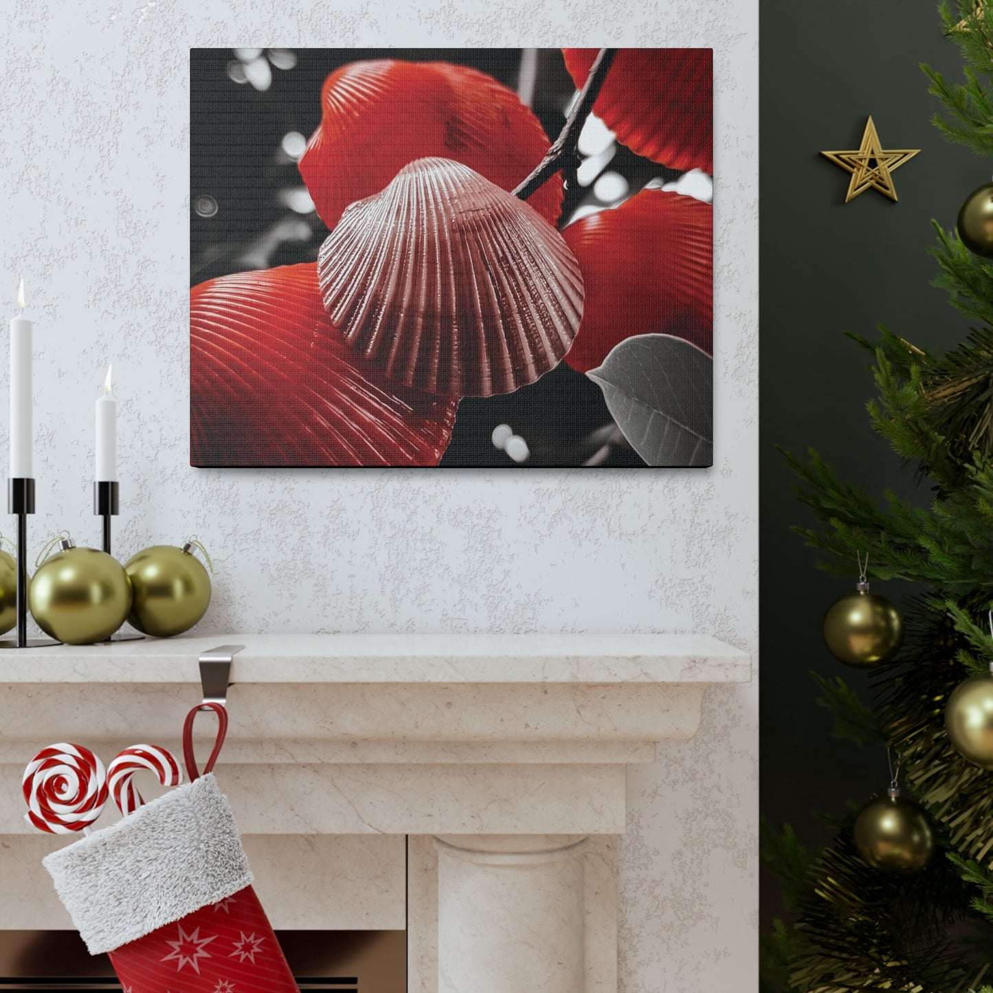 Red Shells - Canvas Gallery Wraps