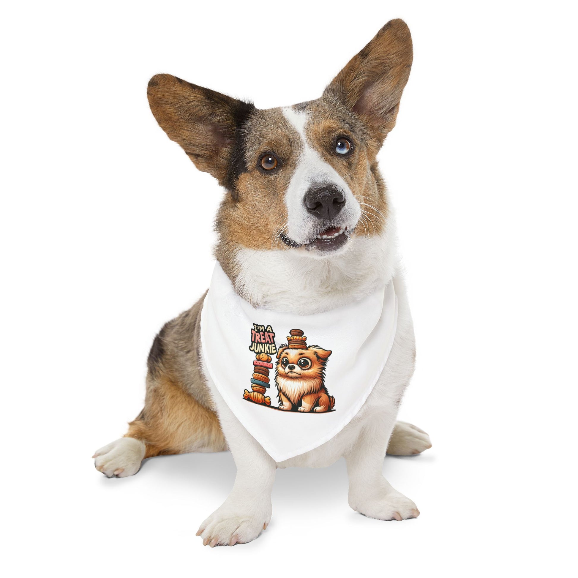 I'm A Treat Junkie - Pet Bandana Collar - Creatively Designed Shop