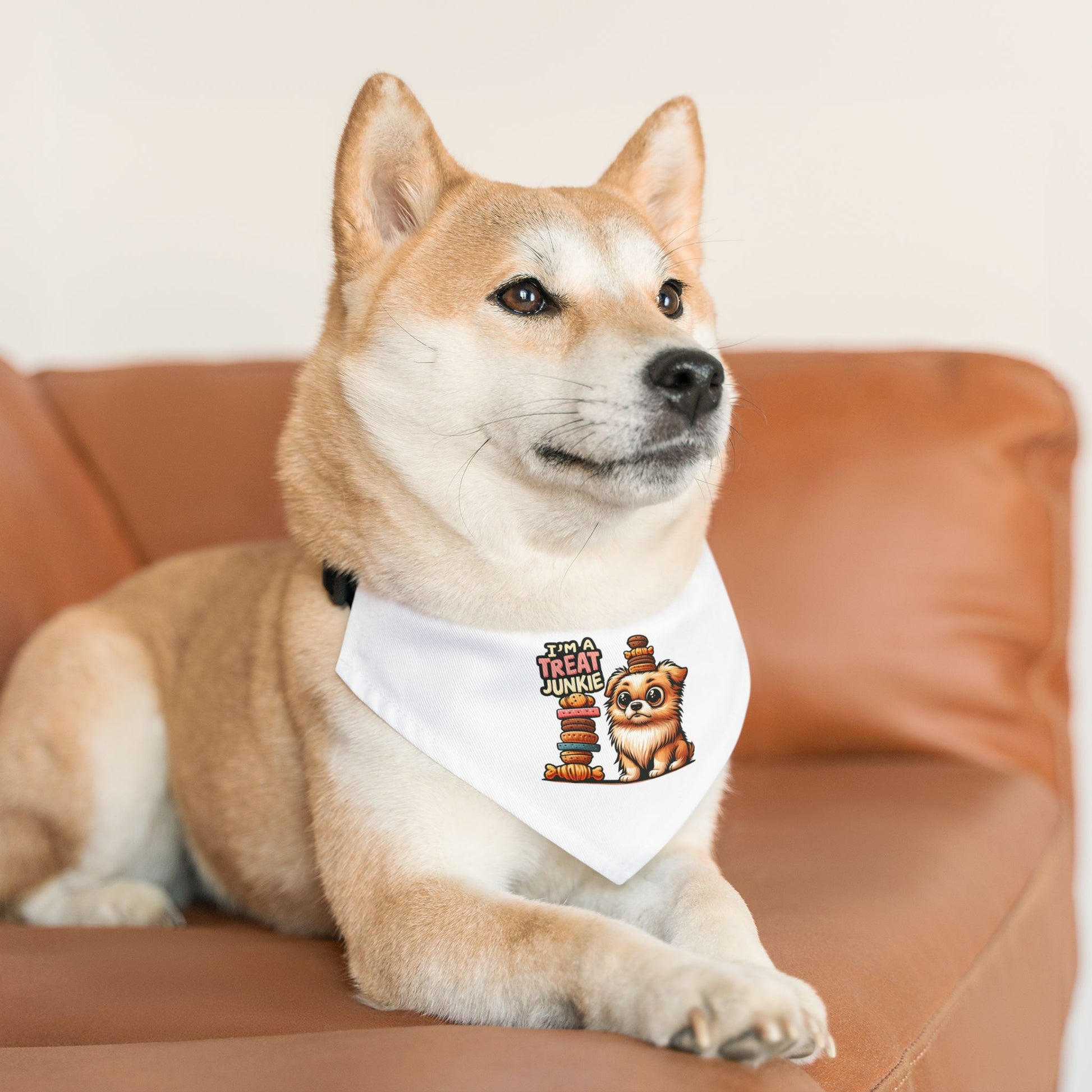 I'm A Treat Junkie - Pet Bandana Collar - Creatively Designed Shop