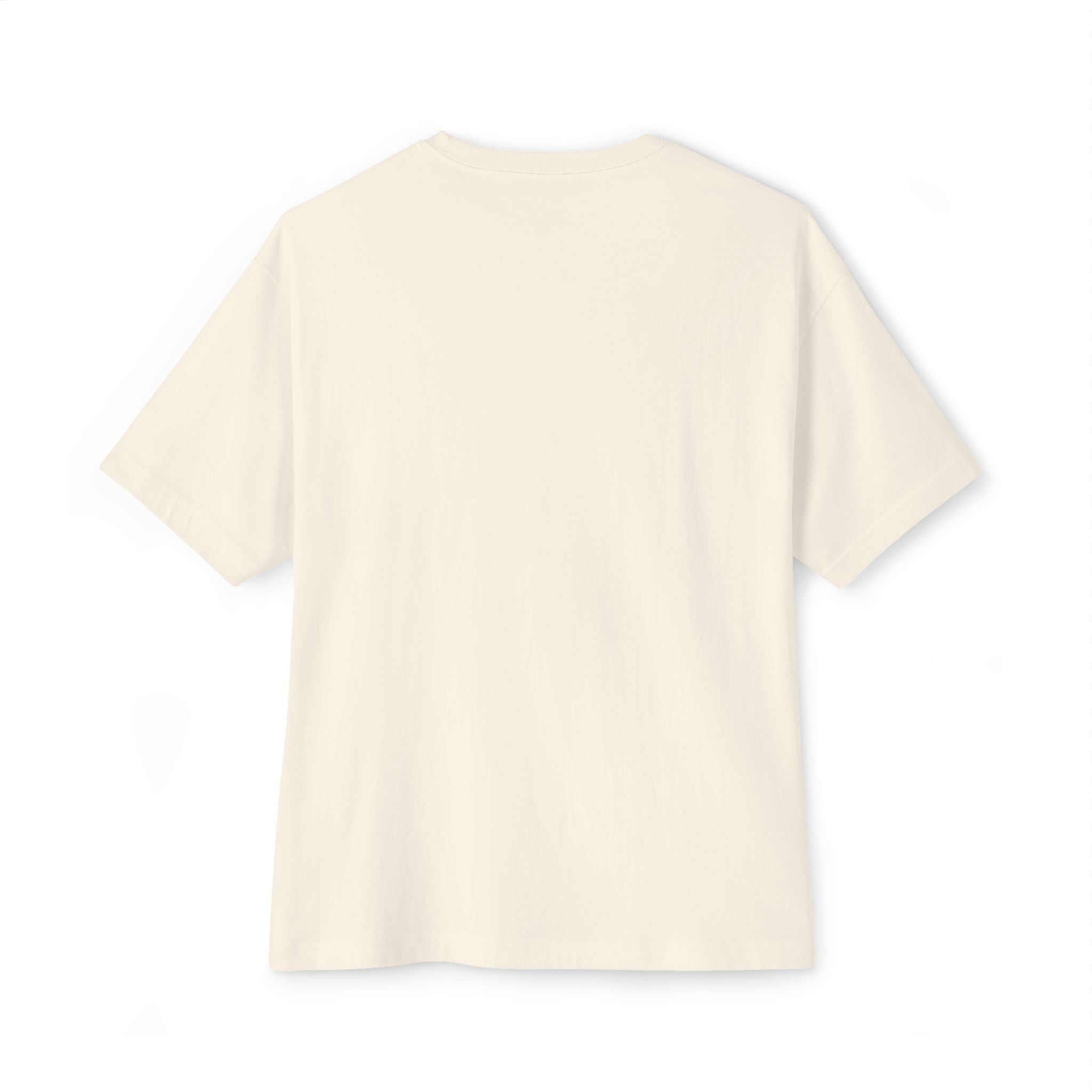 Academic Weapon - Unisex Oversized Boxy Tee