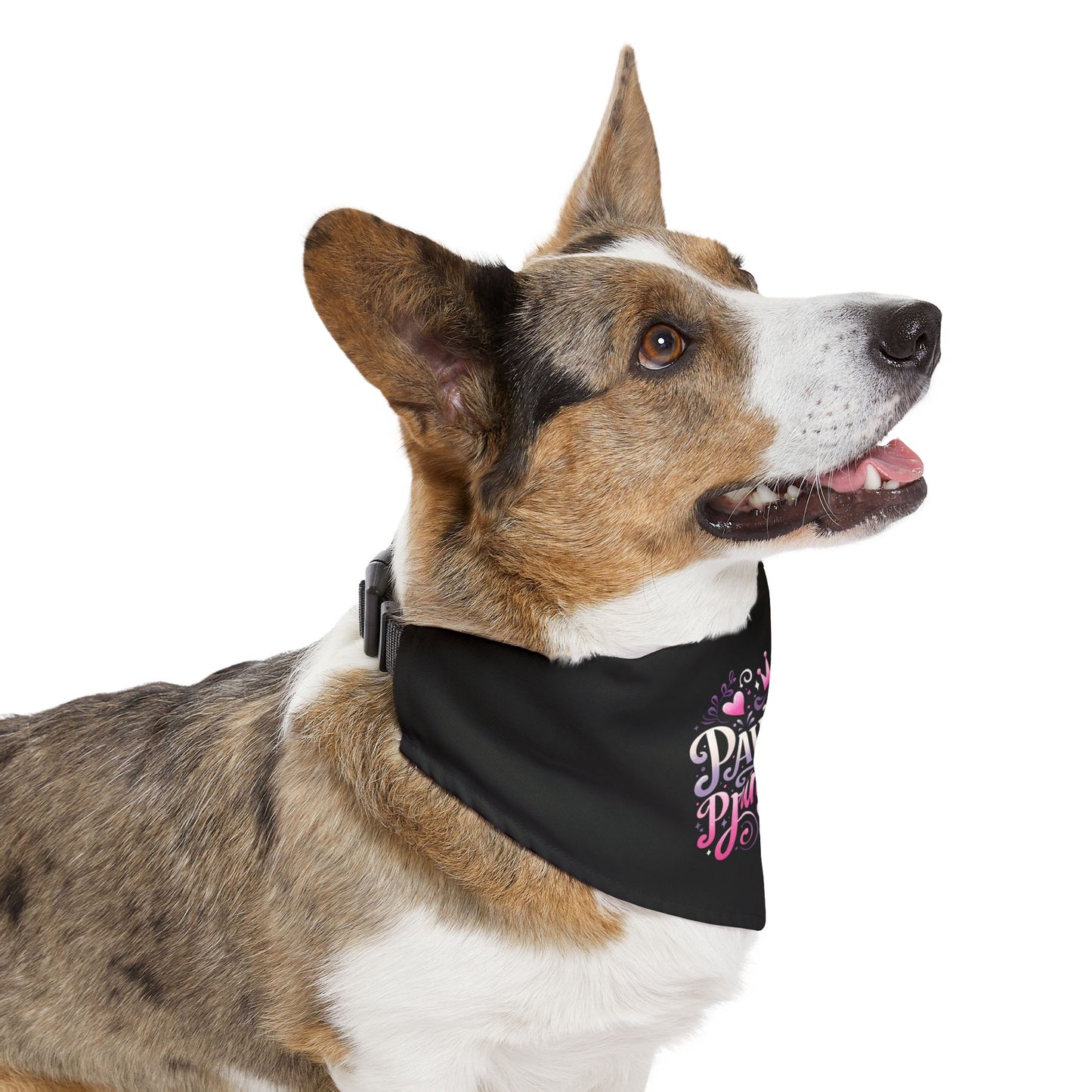 Pawsome Princess - Pet Bandana Collar