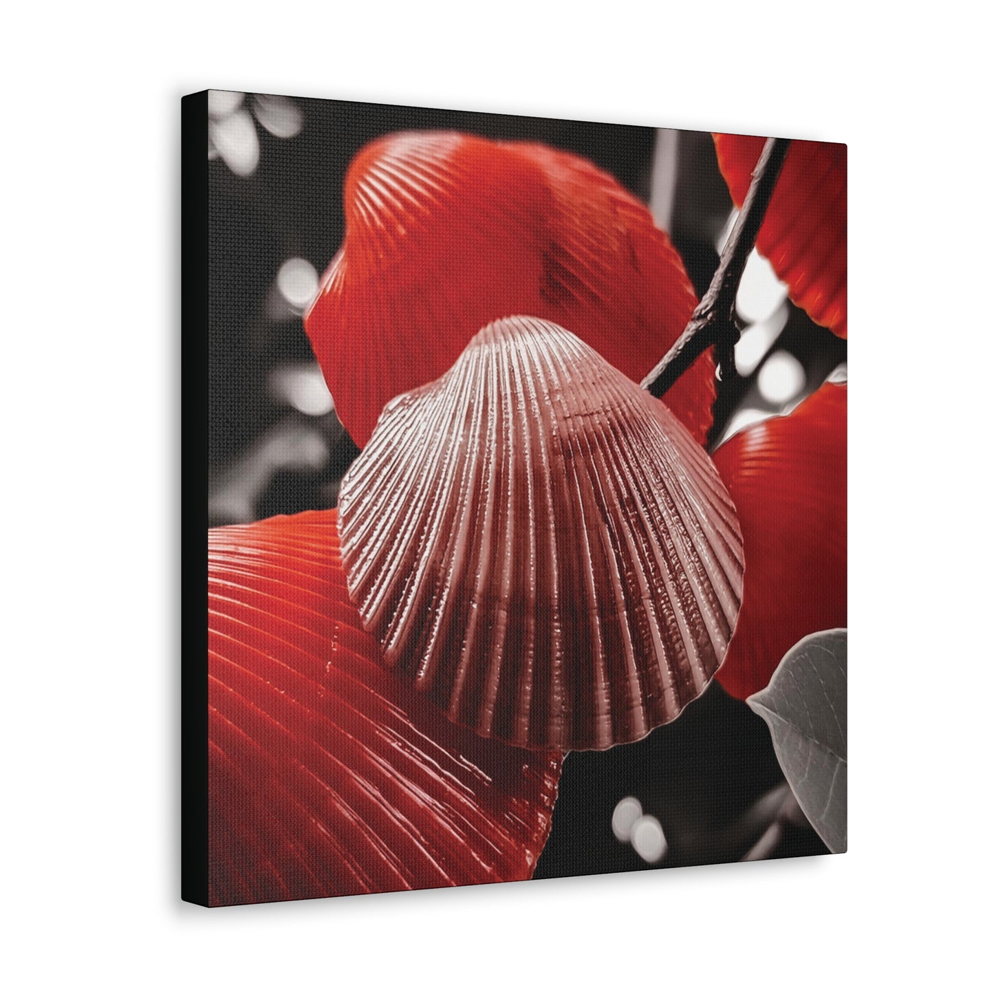 Red Shells - Canvas Gallery Wraps