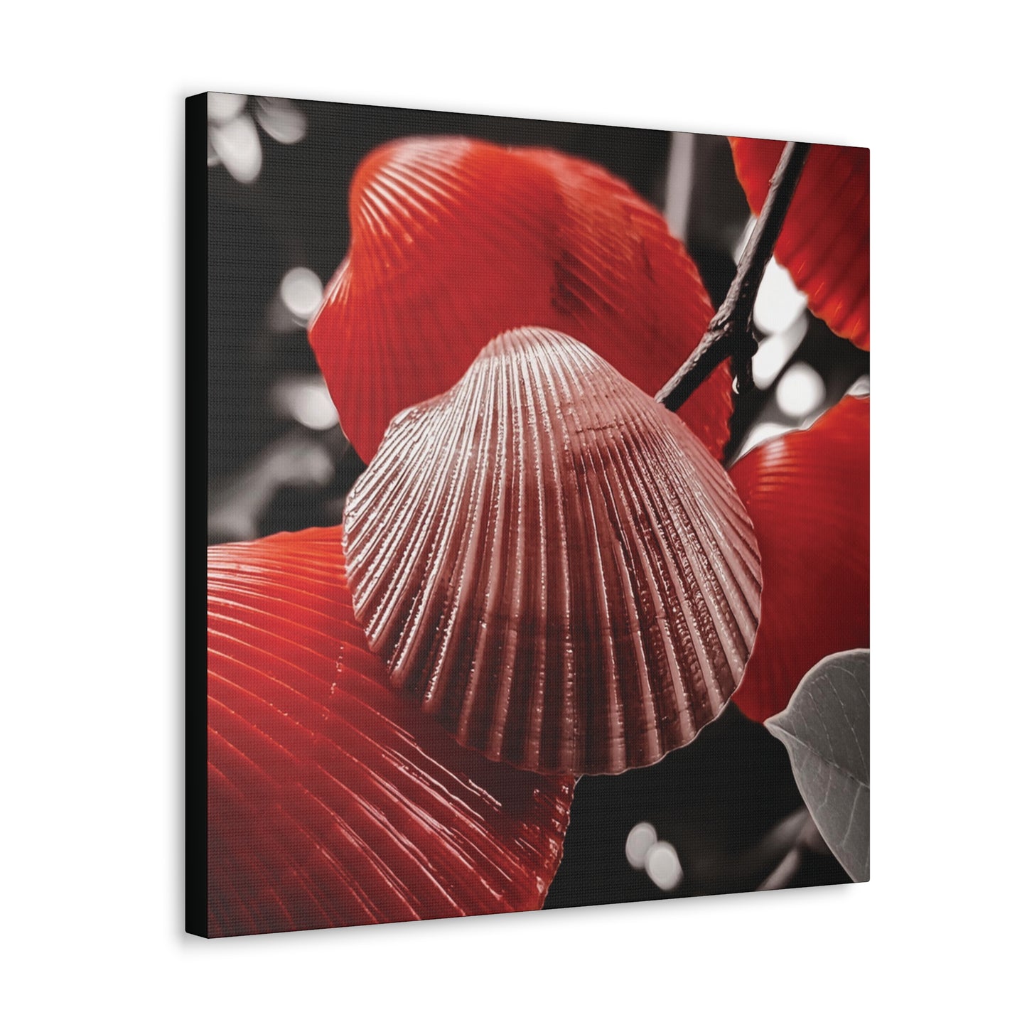 Red Shells - Canvas Gallery Wraps