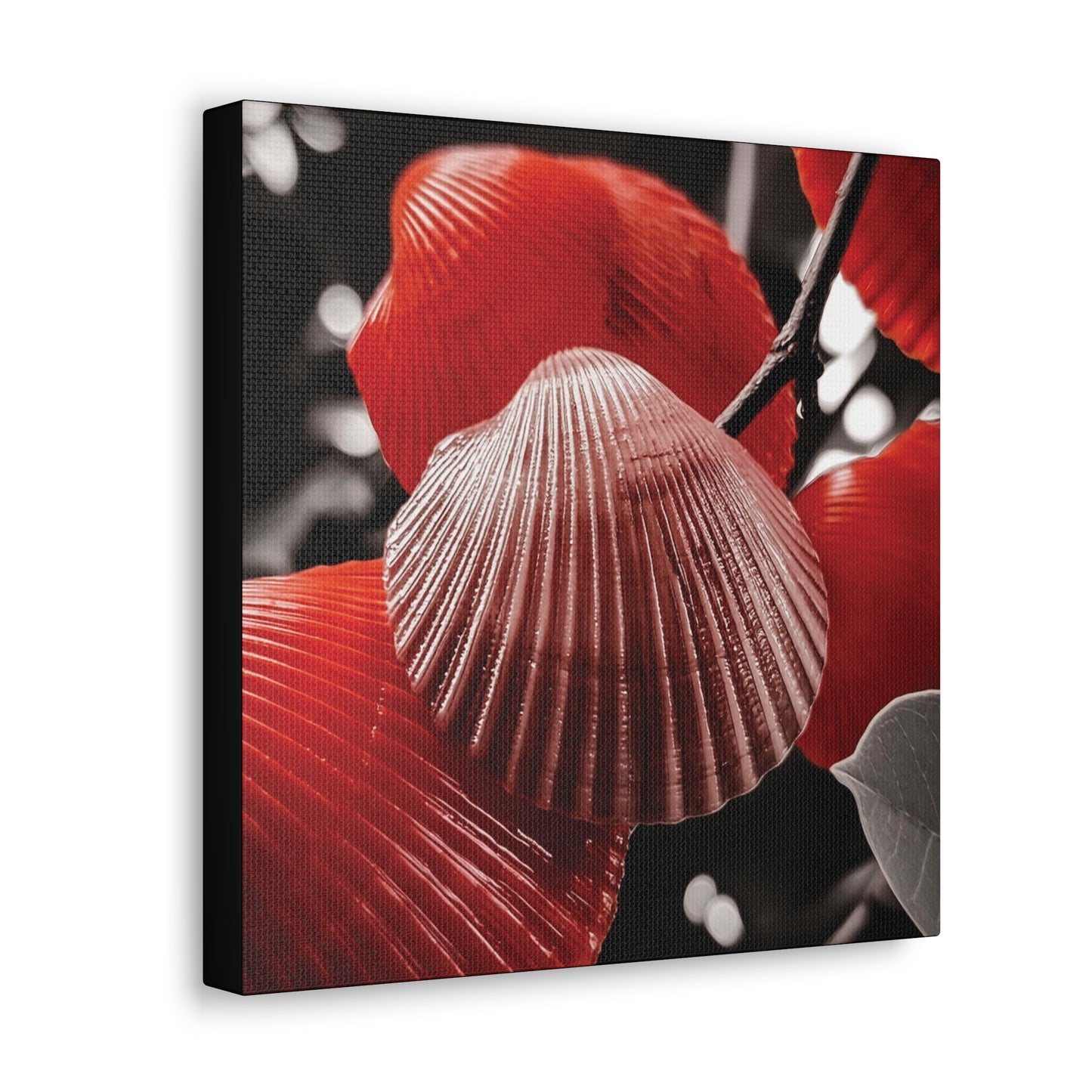 Red Shells - Canvas Gallery Wraps