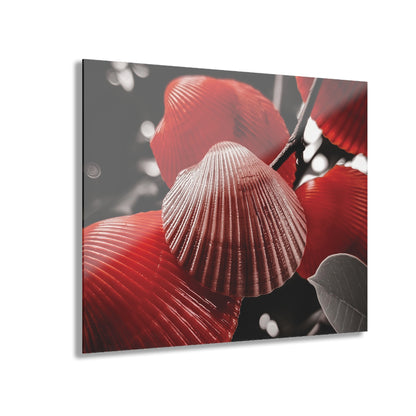 Red Shells - Acrylic Prints (French Cleat Hanging)