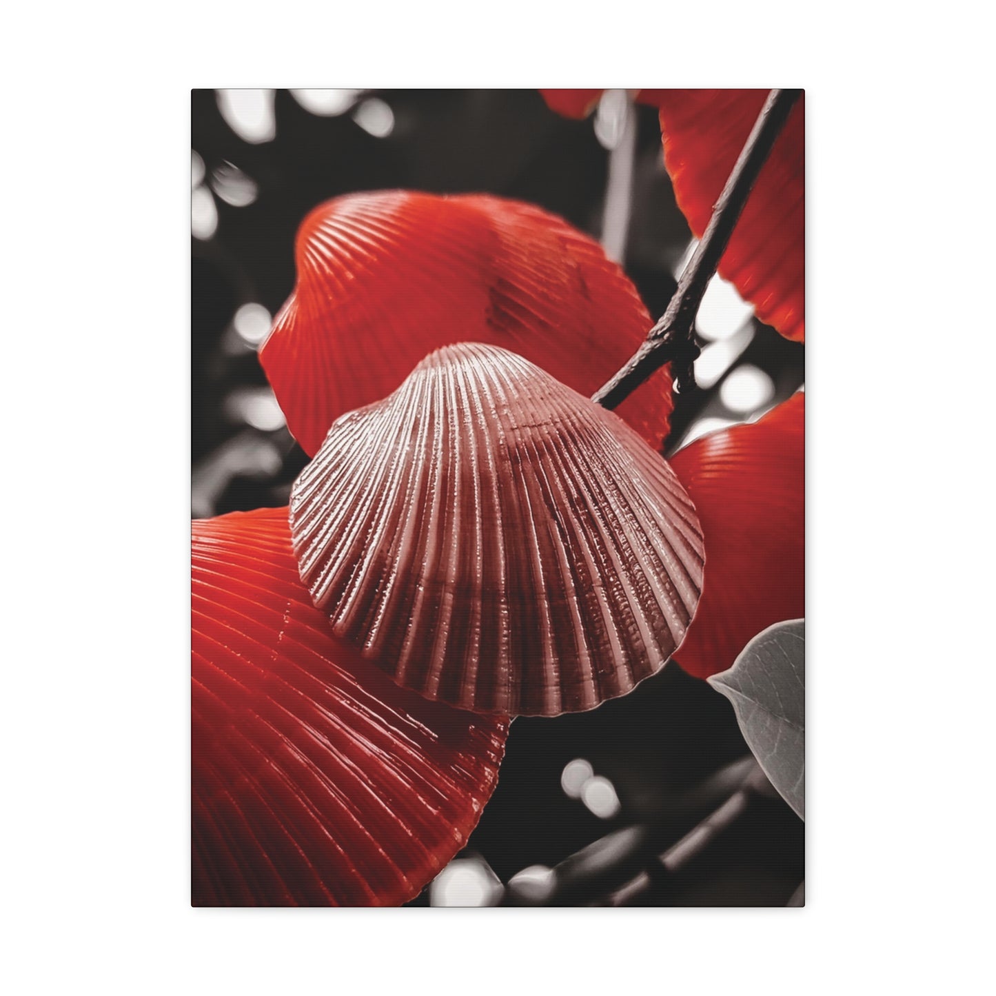 Red Shells - Canvas Gallery Wraps