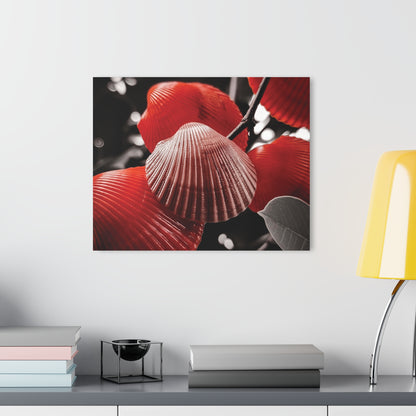 Red Shells - Acrylic Prints (French Cleat Hanging)