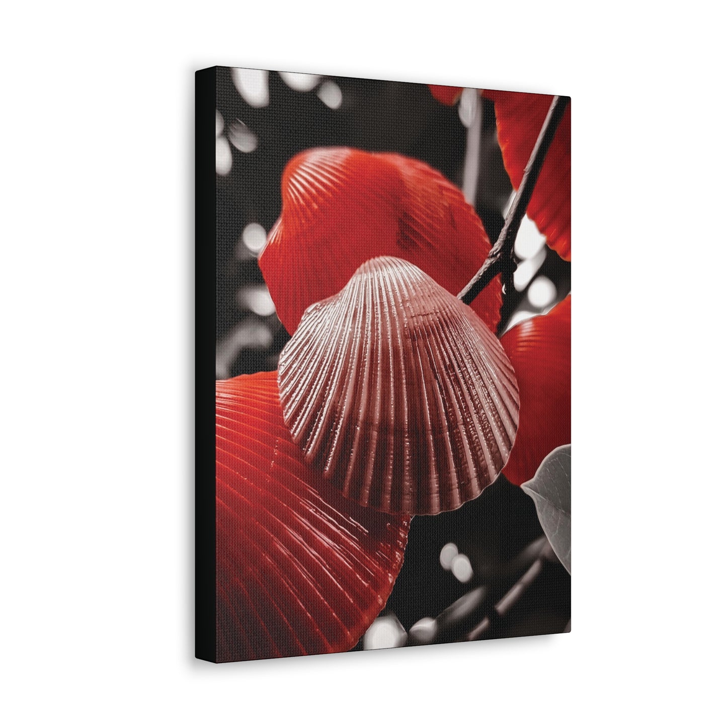 Red Shells - Canvas Gallery Wraps