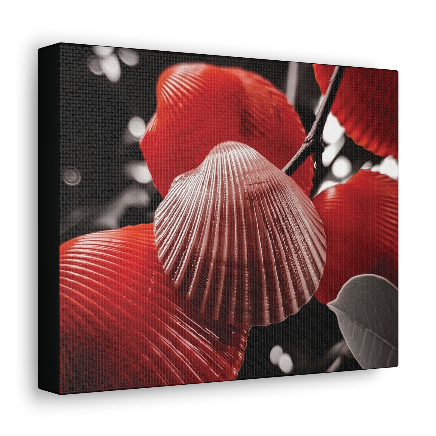 Red Shells - Canvas Gallery Wraps