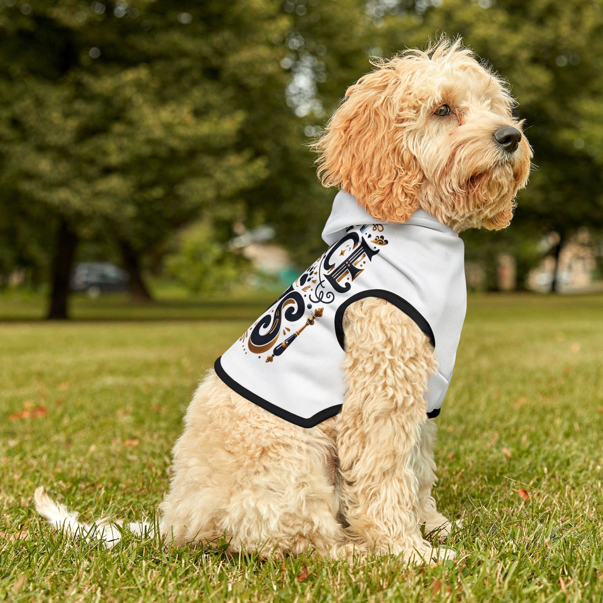 Prince of Paws - Pet Hoodie - Creatively Designed Shop