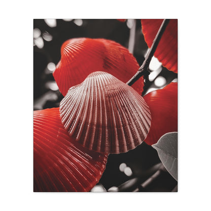 Red Shells - Canvas Gallery Wraps