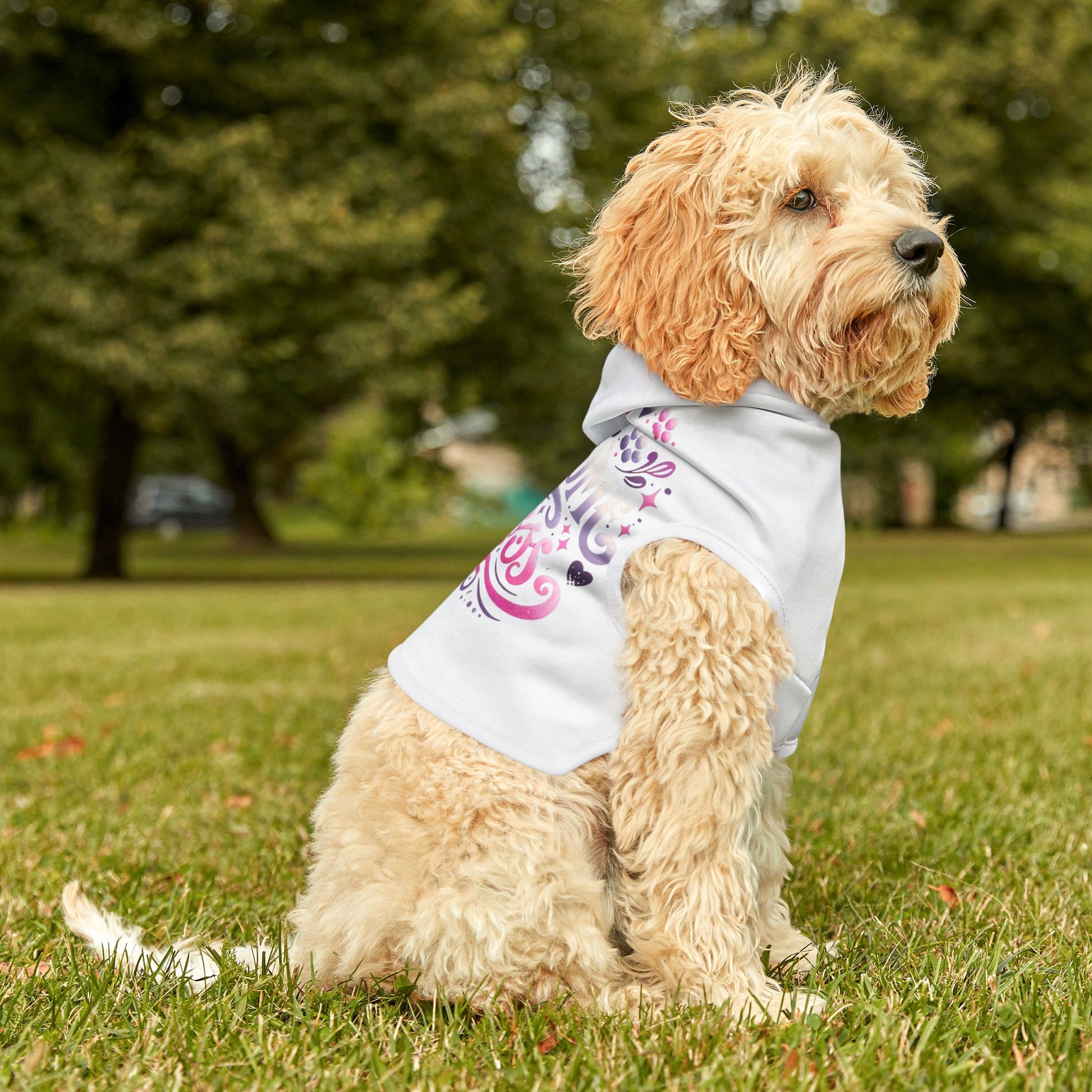 Pawsome Princess - Pet Hoodie - Creatively Designed Shop