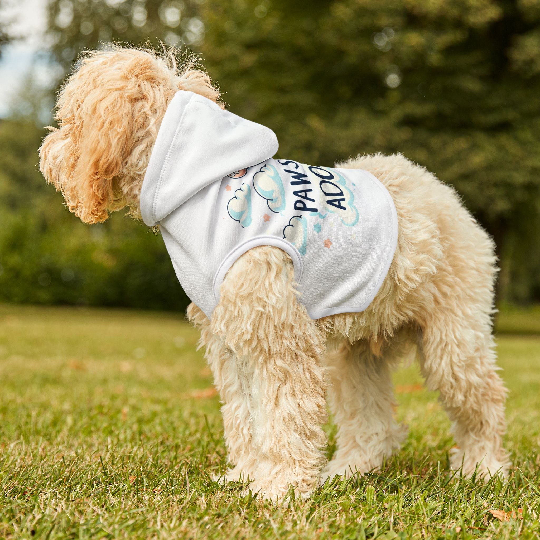 Pawsitively Adorable - Pet Hoodie