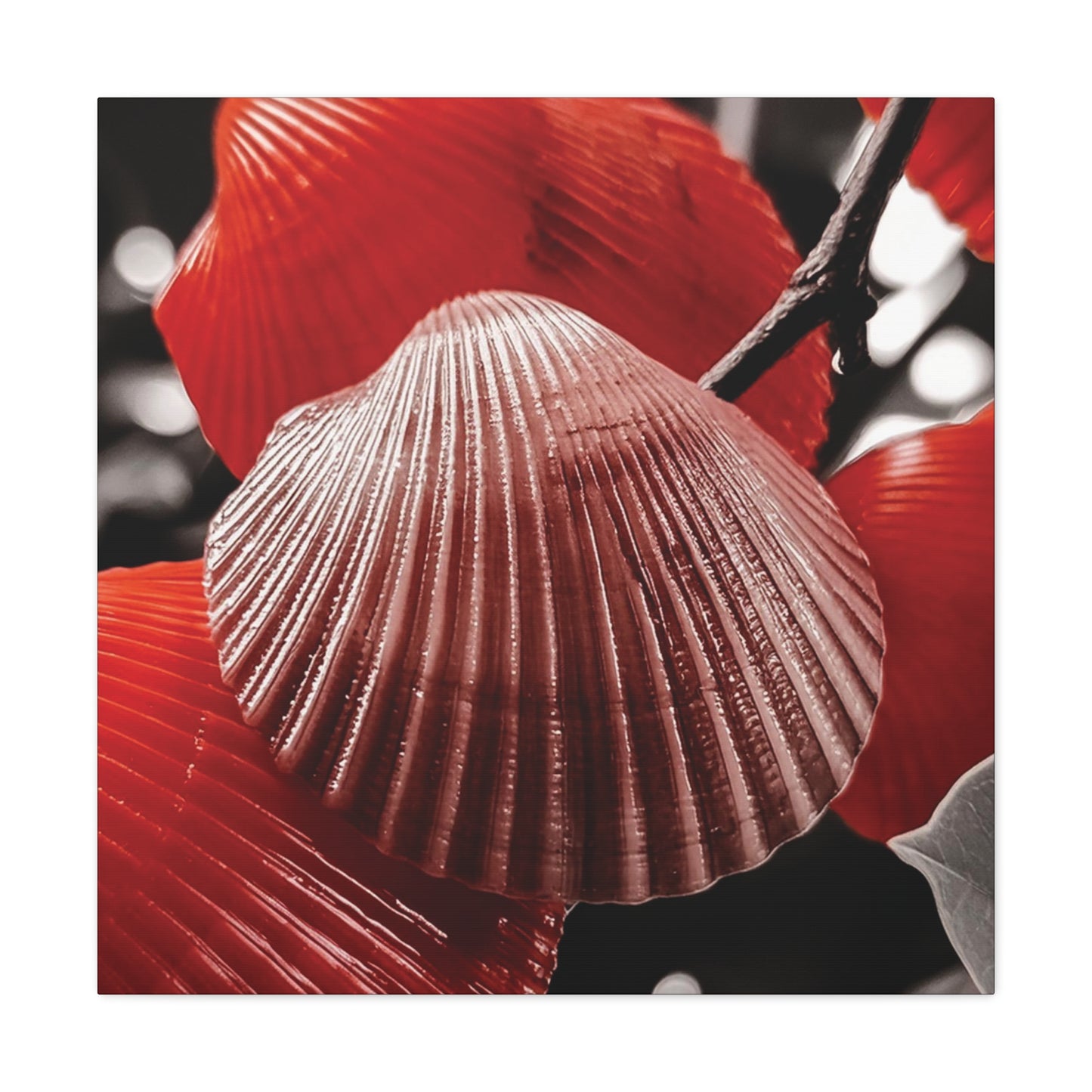 Red Shells - Canvas Gallery Wraps