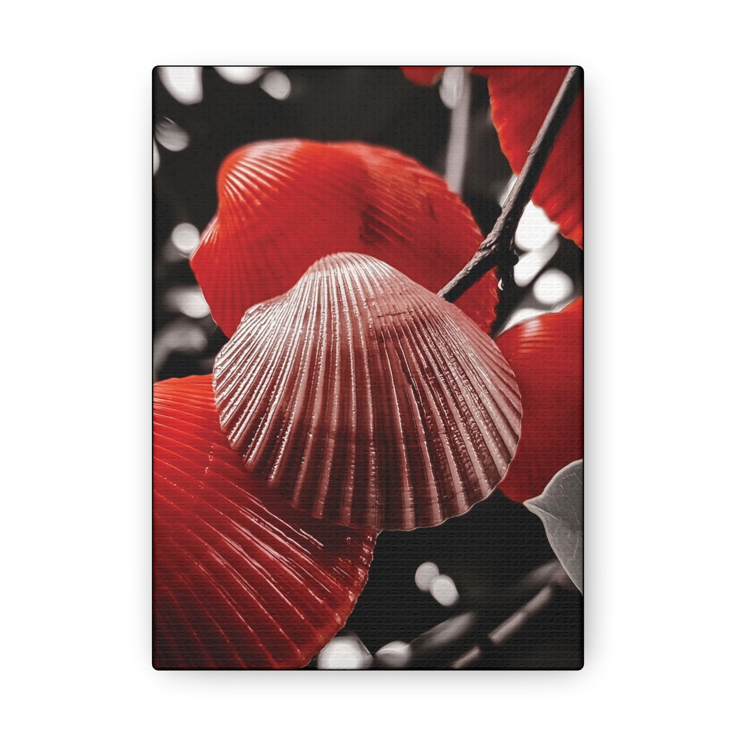 Red Shells - Canvas Gallery Wraps