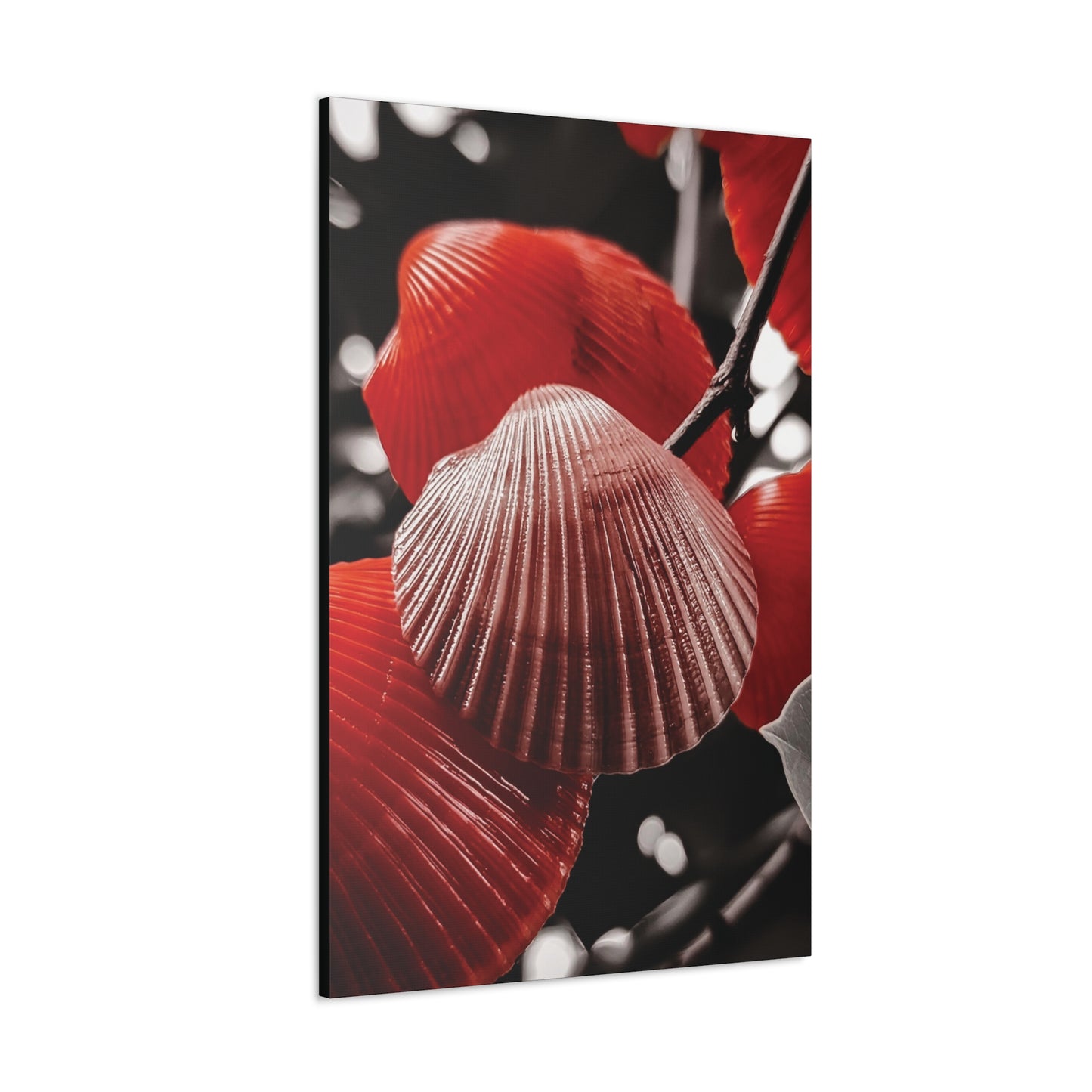 Red Shells - Canvas Gallery Wraps