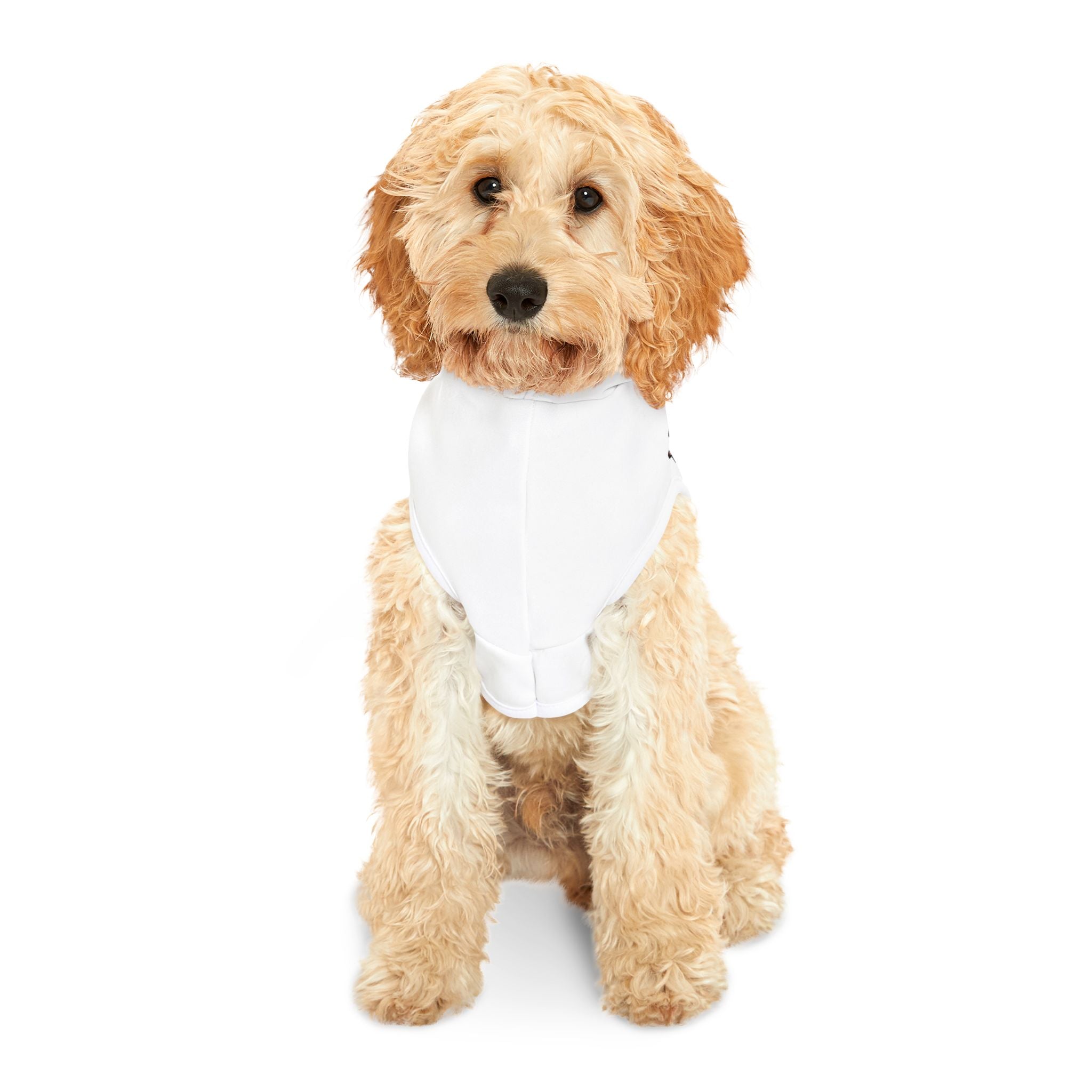 I'm A Treat Junkie - Pet Hoodie