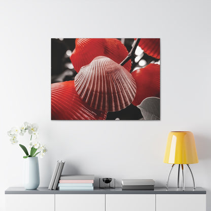 Red Shells - Canvas Gallery Wraps